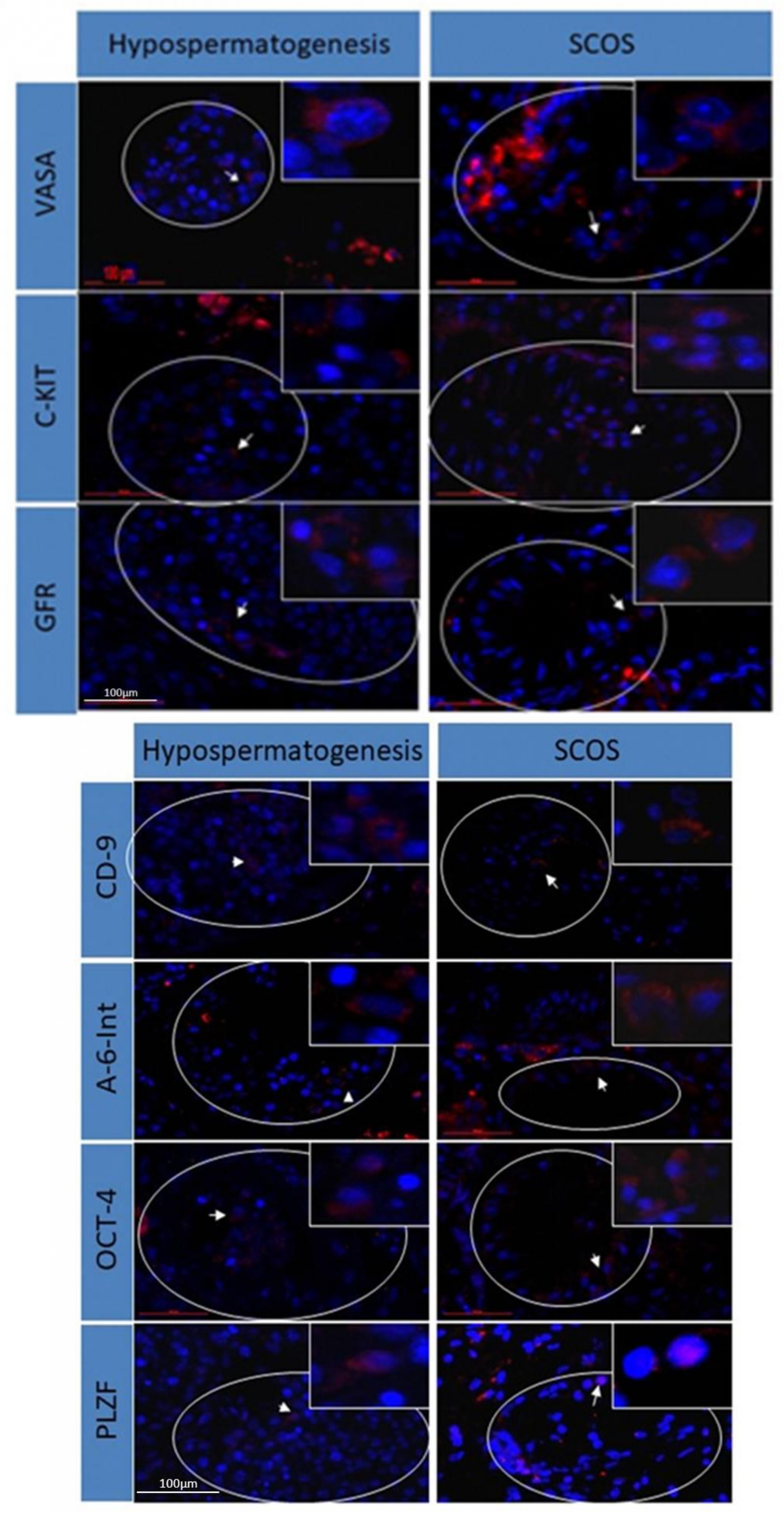 Ijms 20 00470 g001 Ijms 20 00470 g001