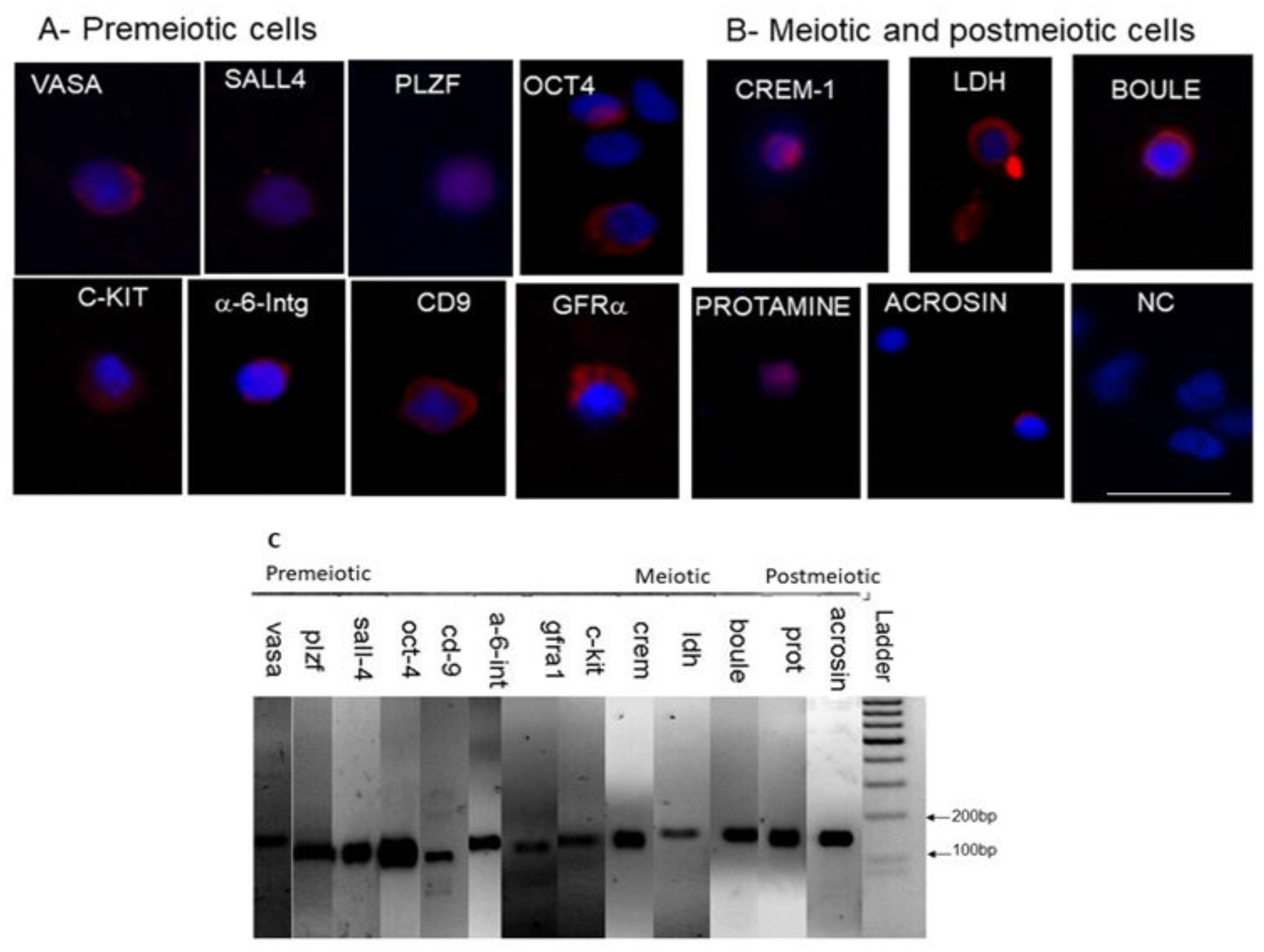 Ijms 20 00470 g002 Ijms 20 00470 g002