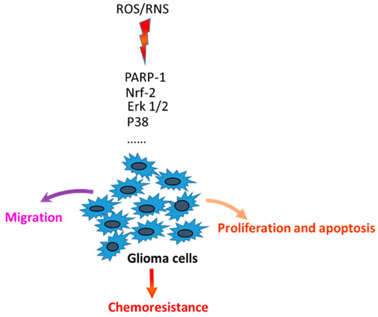 The Selective Acetamidine-Based iNOS Inhibitor CM544 Reduces