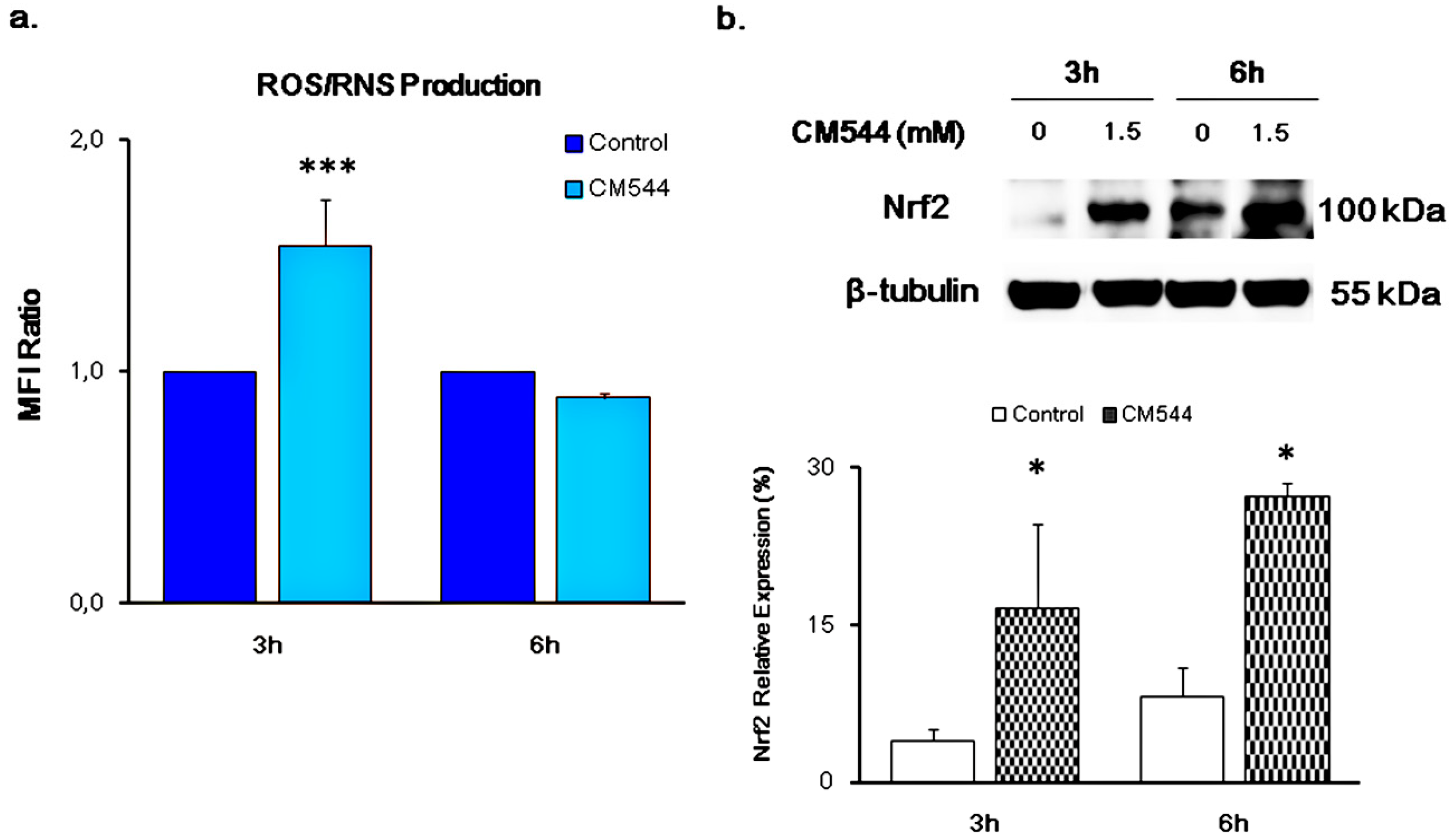 Ijms 20 00495 g004 Ijms 20 00495 g004