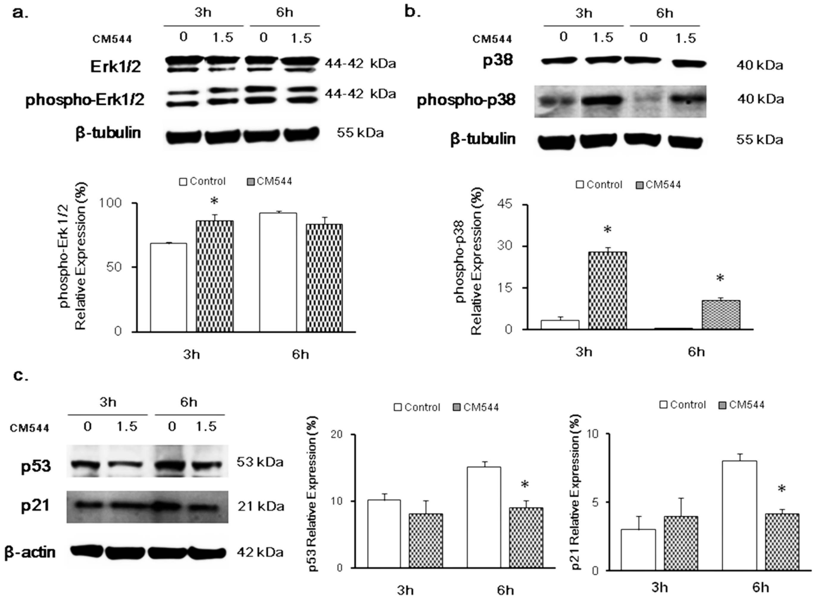 Ijms 20 00495 g005 Ijms 20 00495 g005