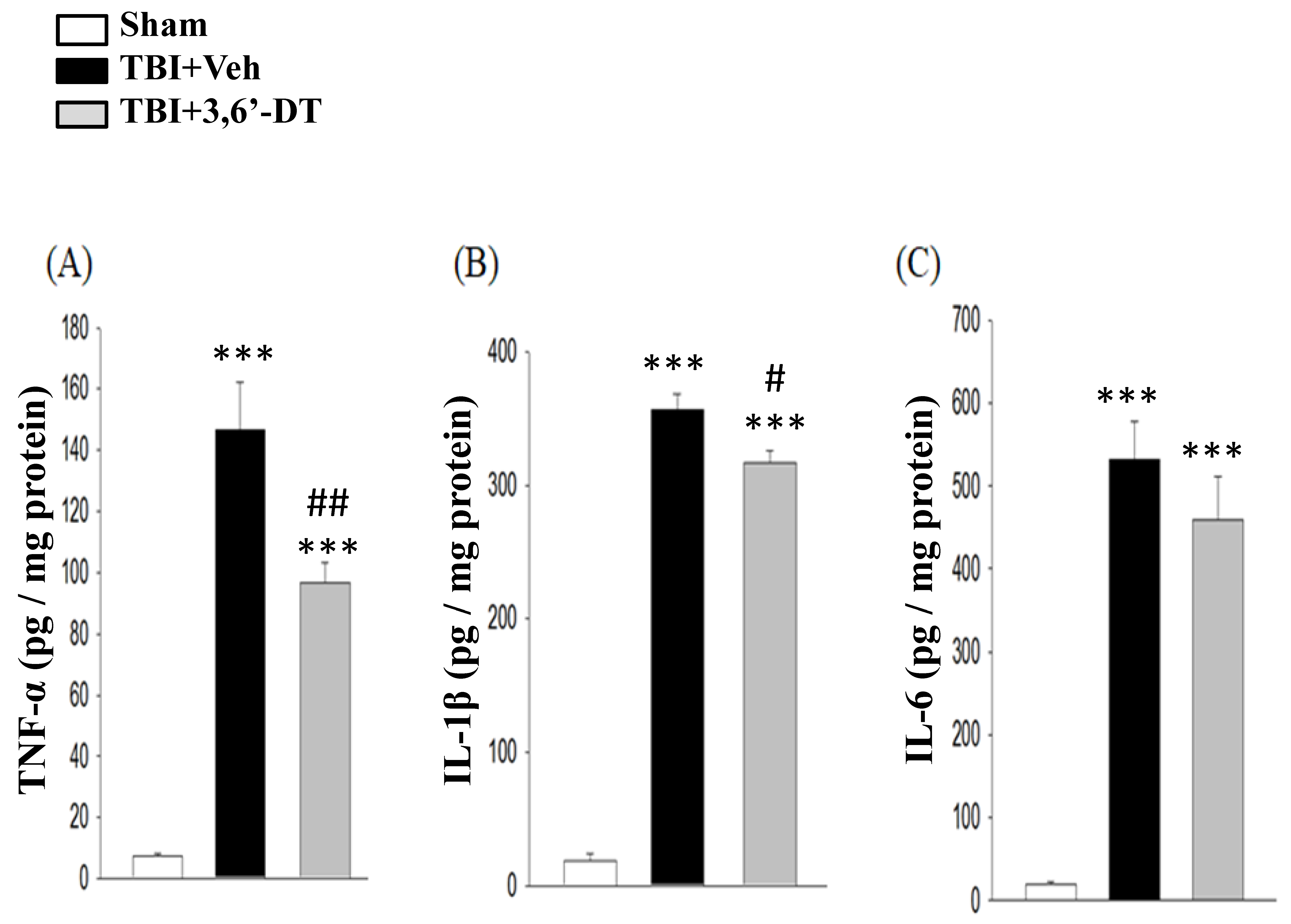 Ijms 20 00502 g008 Ijms 20 00502 g008