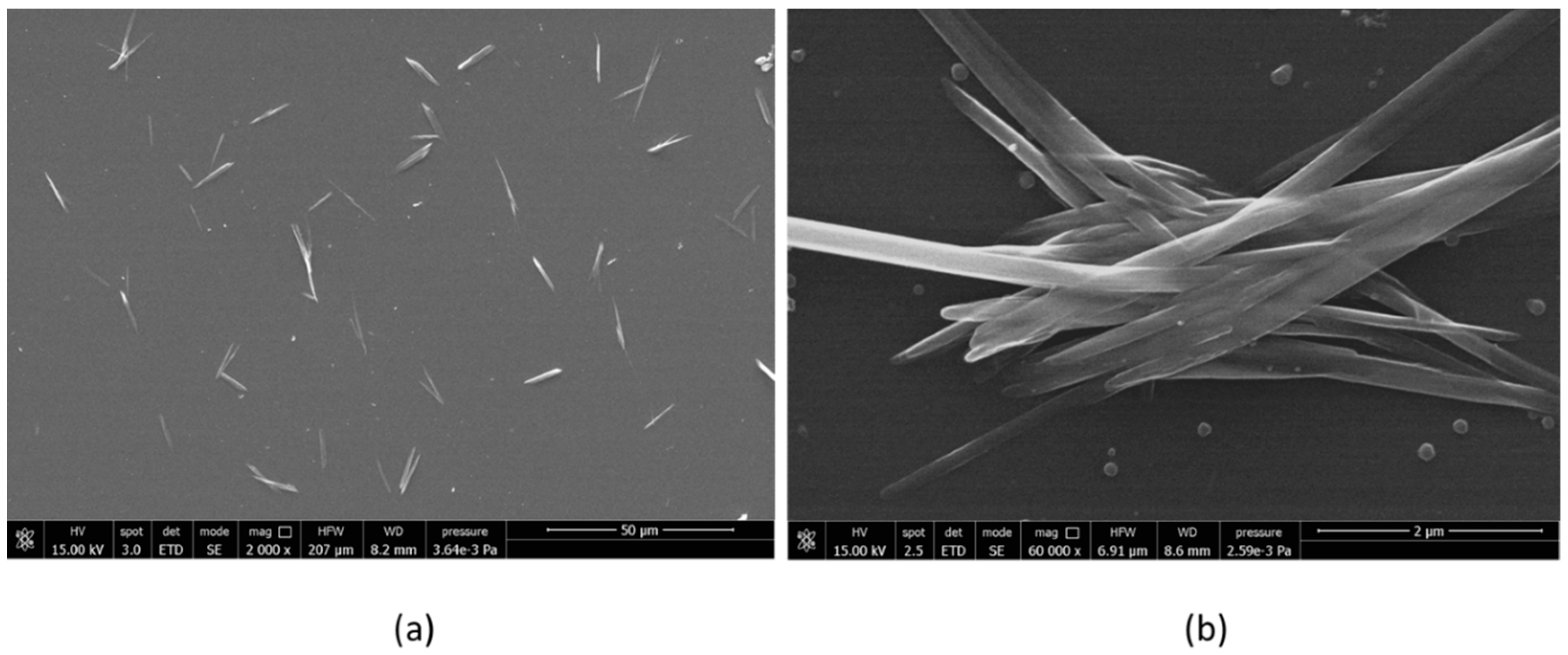 Ijms 20 00504 g001