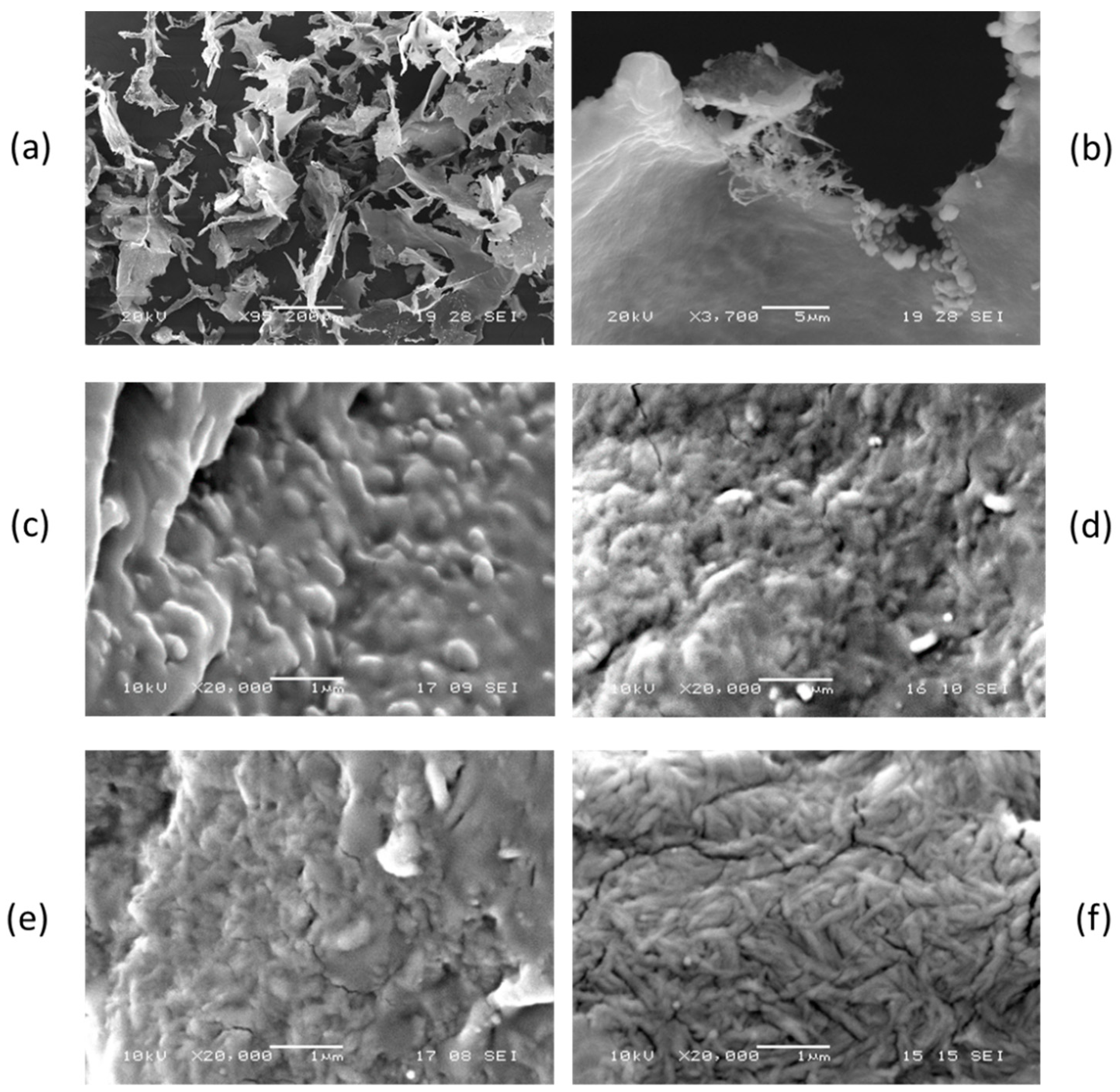 Ijms 20 00504 g002