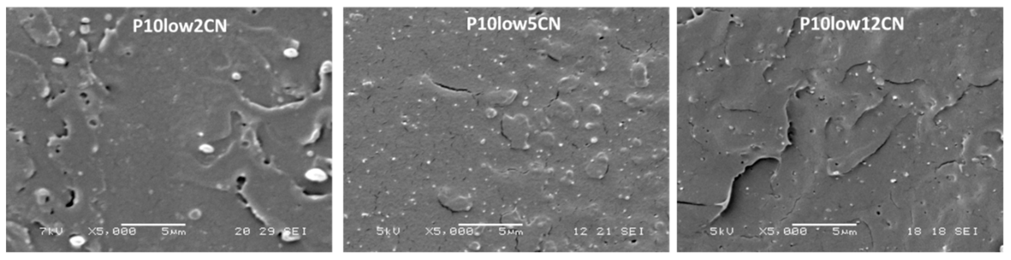 Ijms 20 00504 g007
