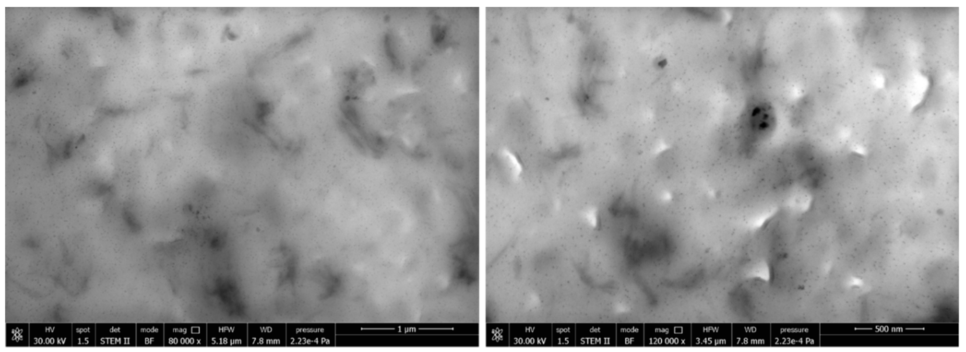 Ijms 20 00504 g008