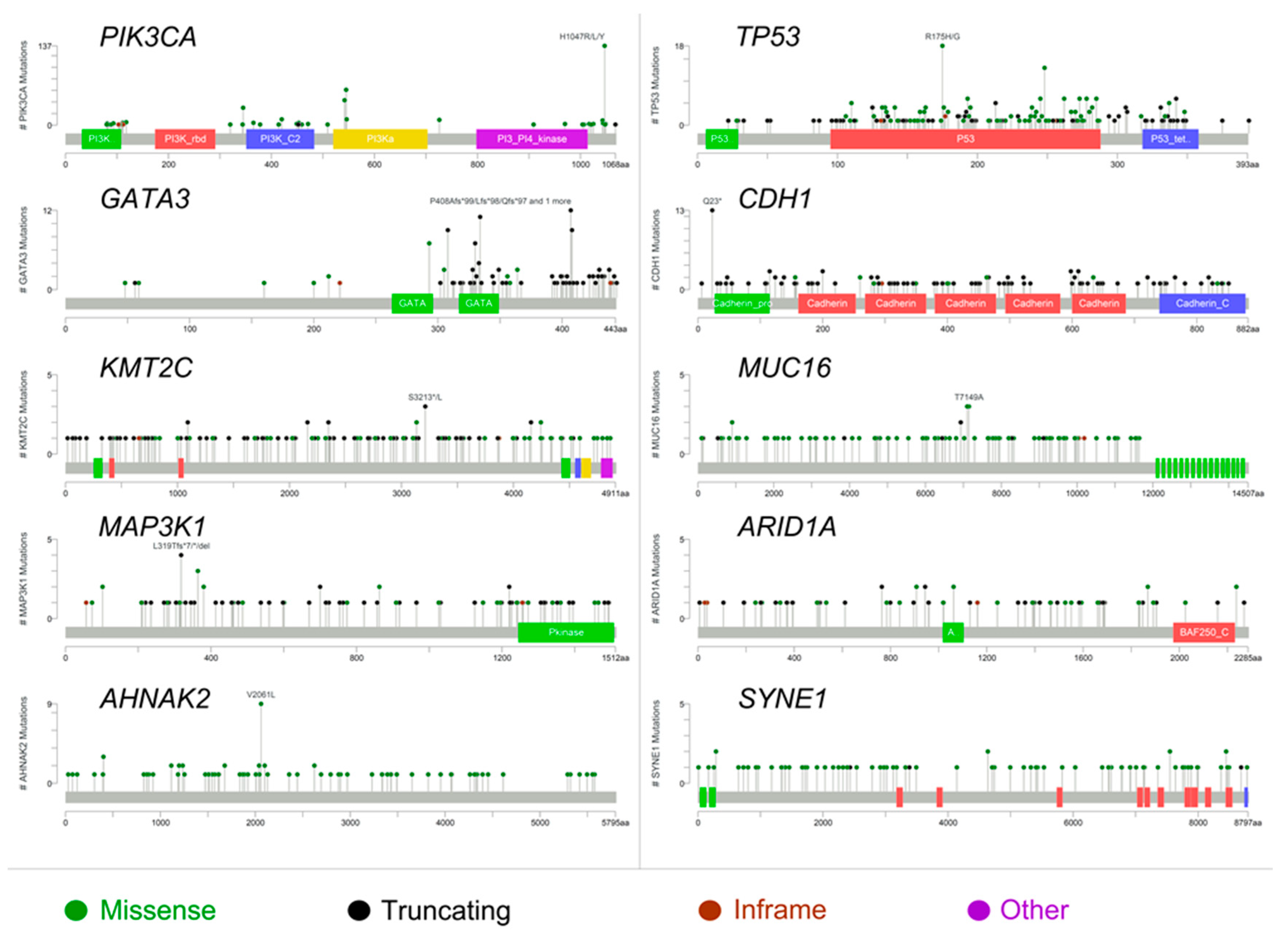 Ijms 20 00510 g002 Ijms 20 00510 g002