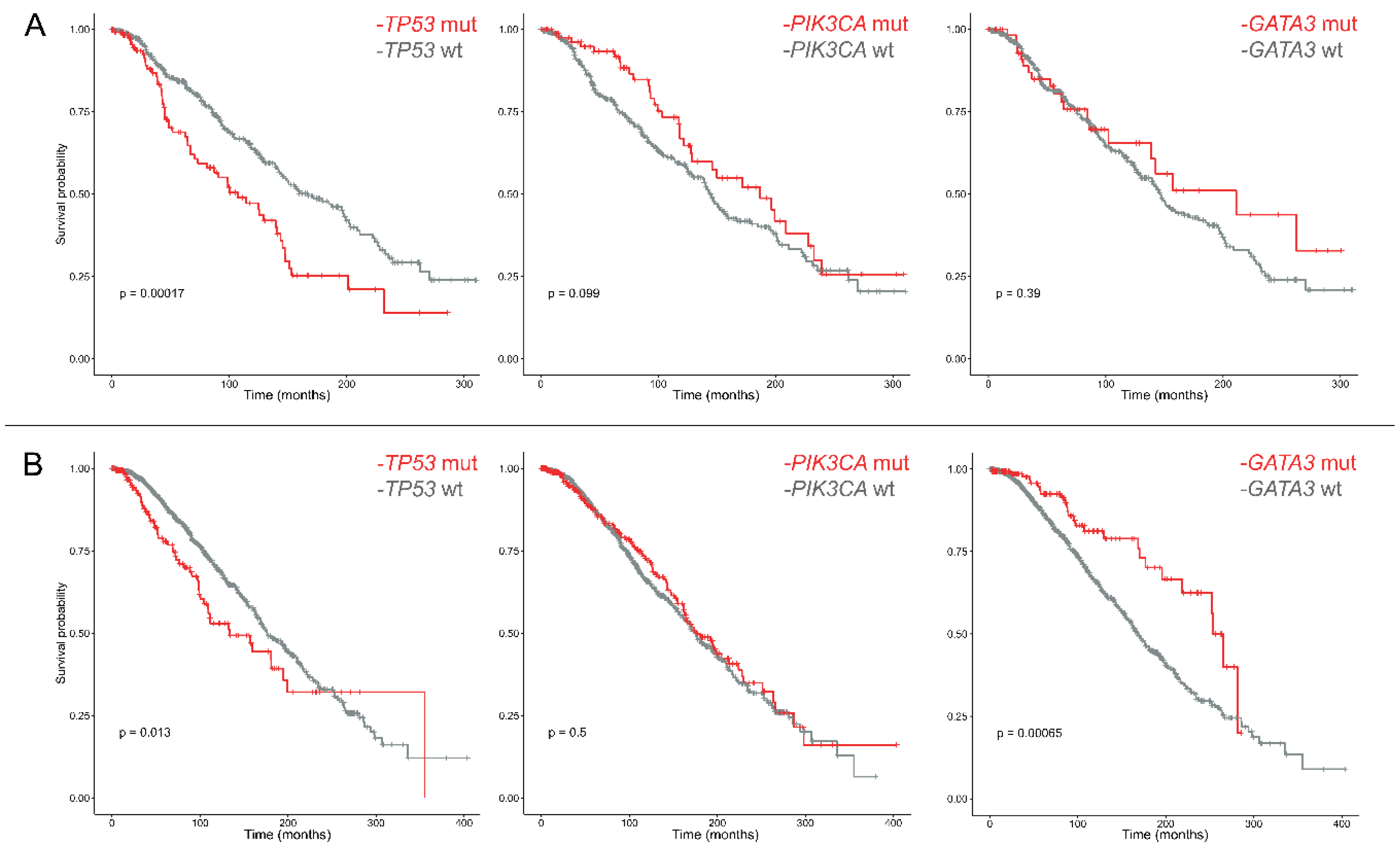 Ijms 20 00510 g003 Ijms 20 00510 g003
