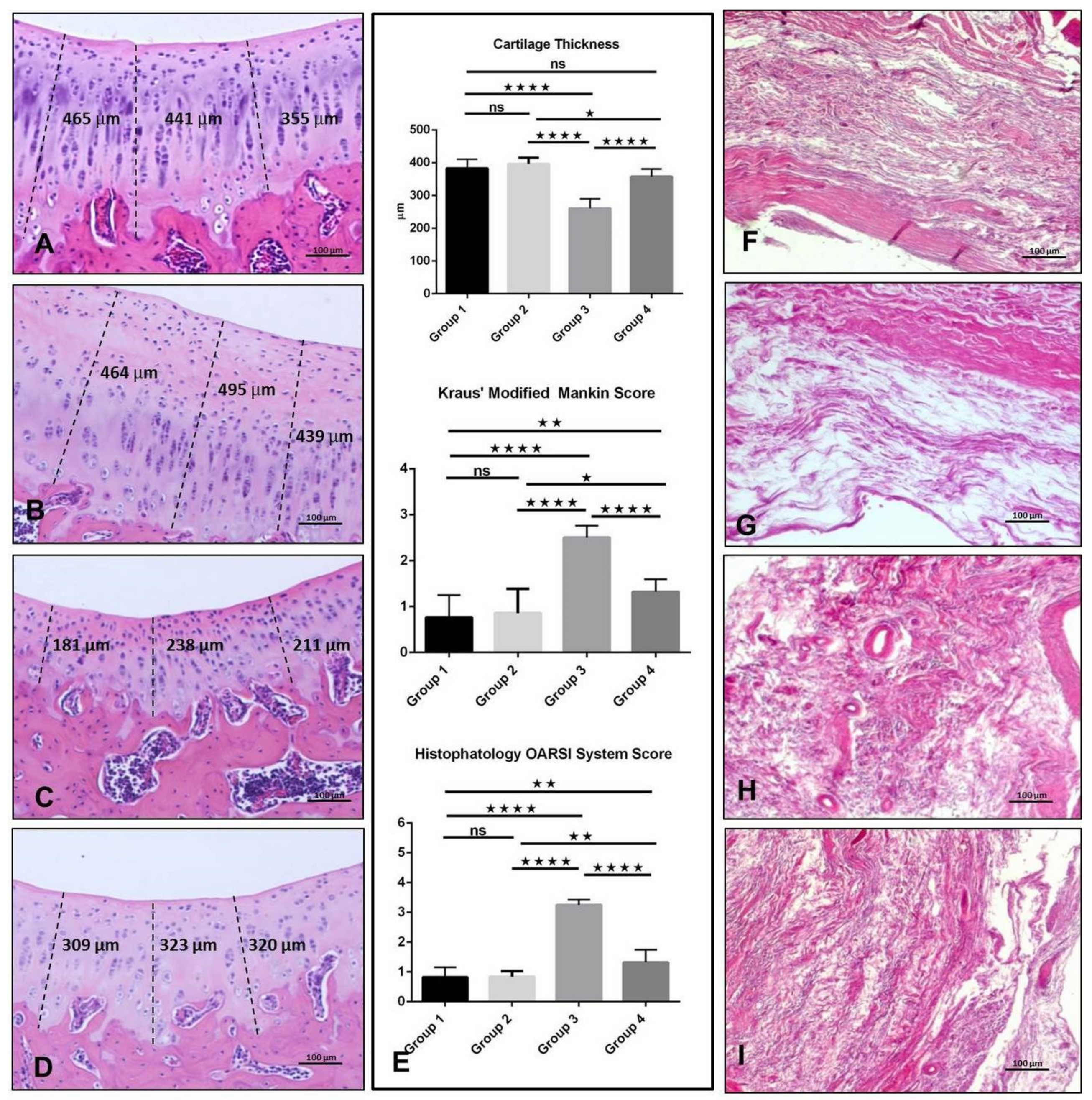 Ijms 20 00511 g001 Ijms 20 00511 g001