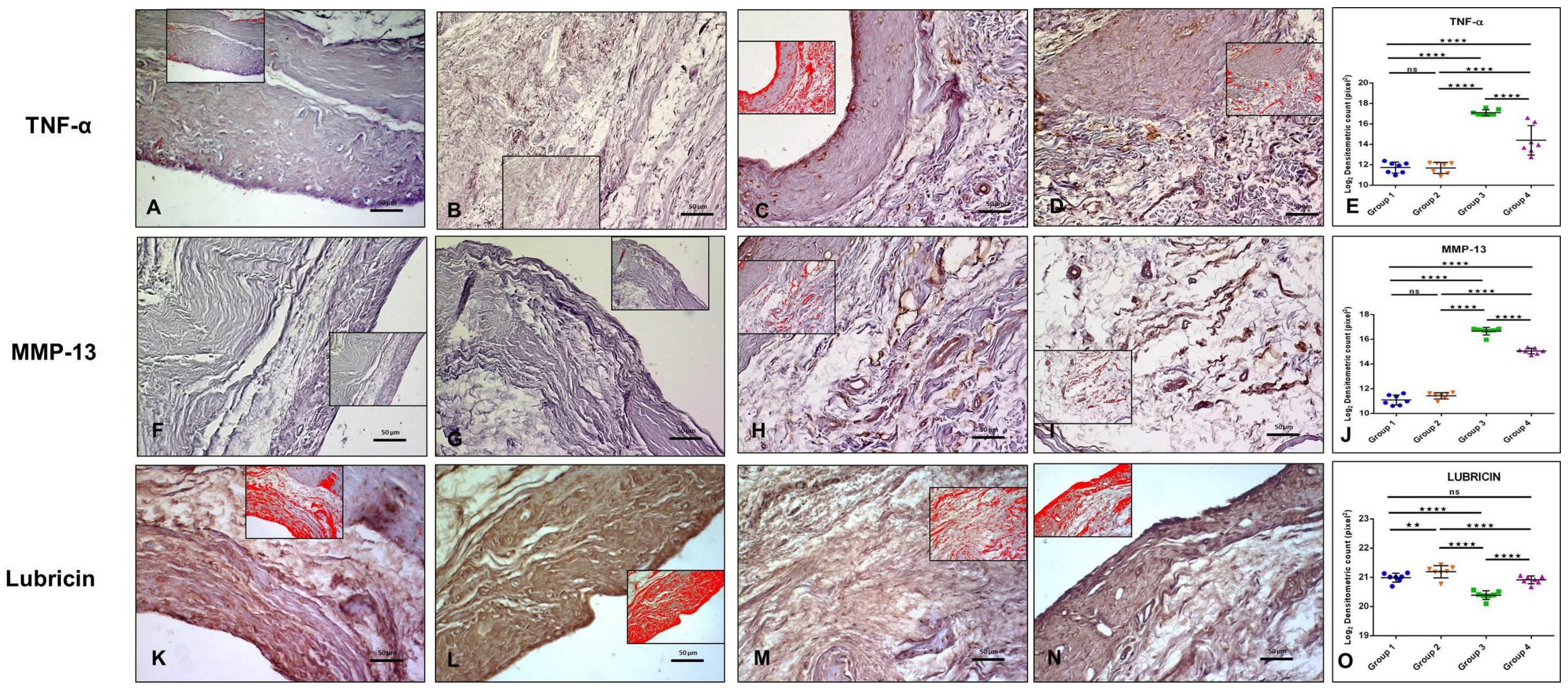 Ijms 20 00511 g003 Ijms 20 00511 g003