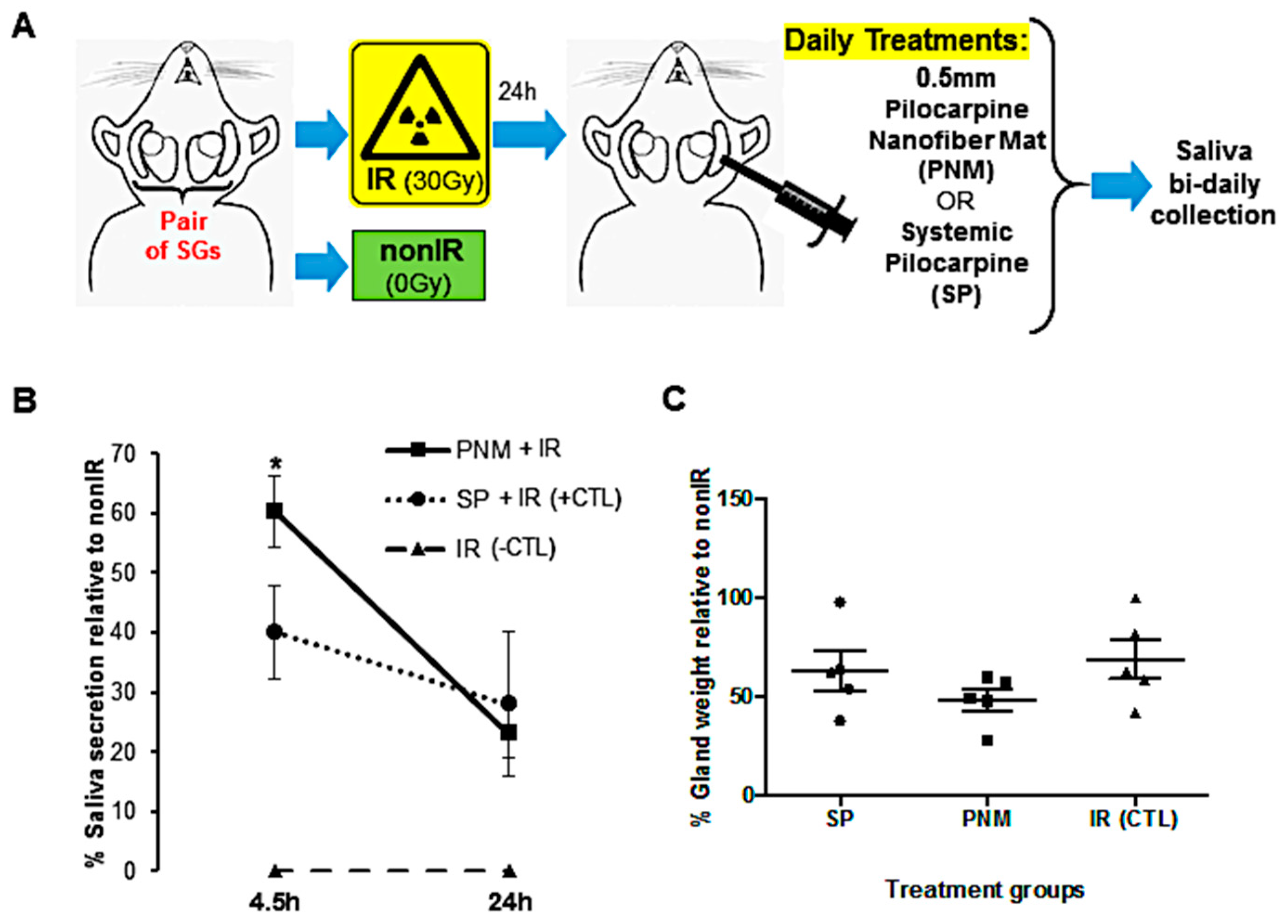 Ijms 20 00541 g006 Ijms 20 00541 g006