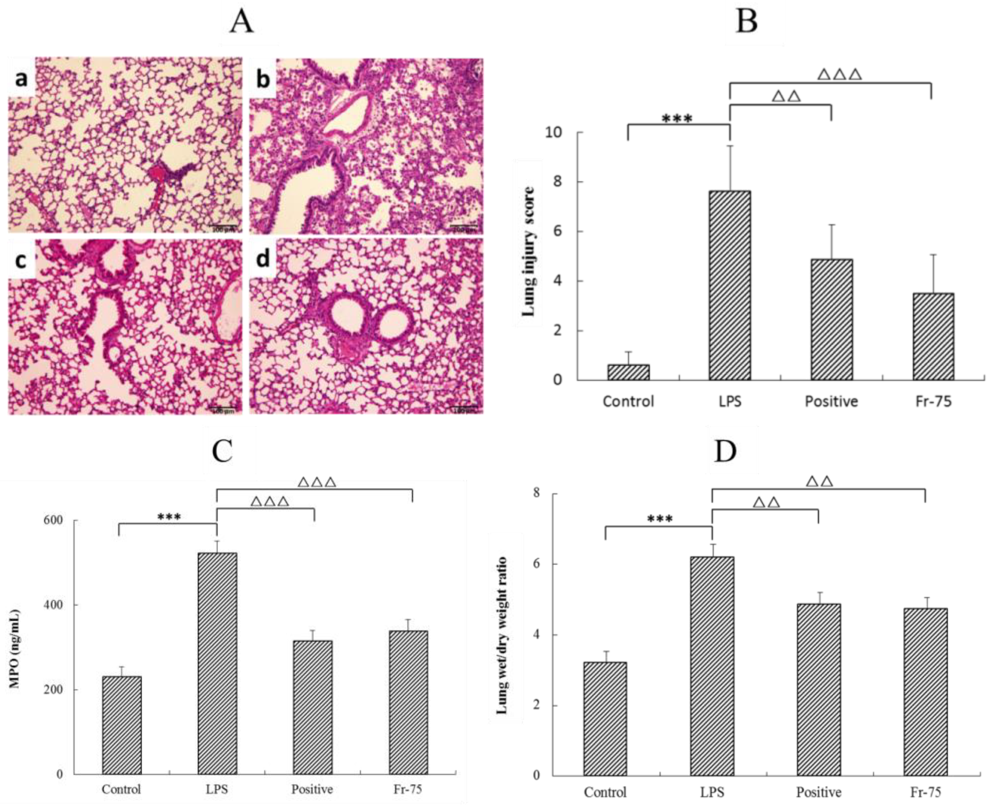 fuuu Network Pharmacology-Based Investigation of Protective