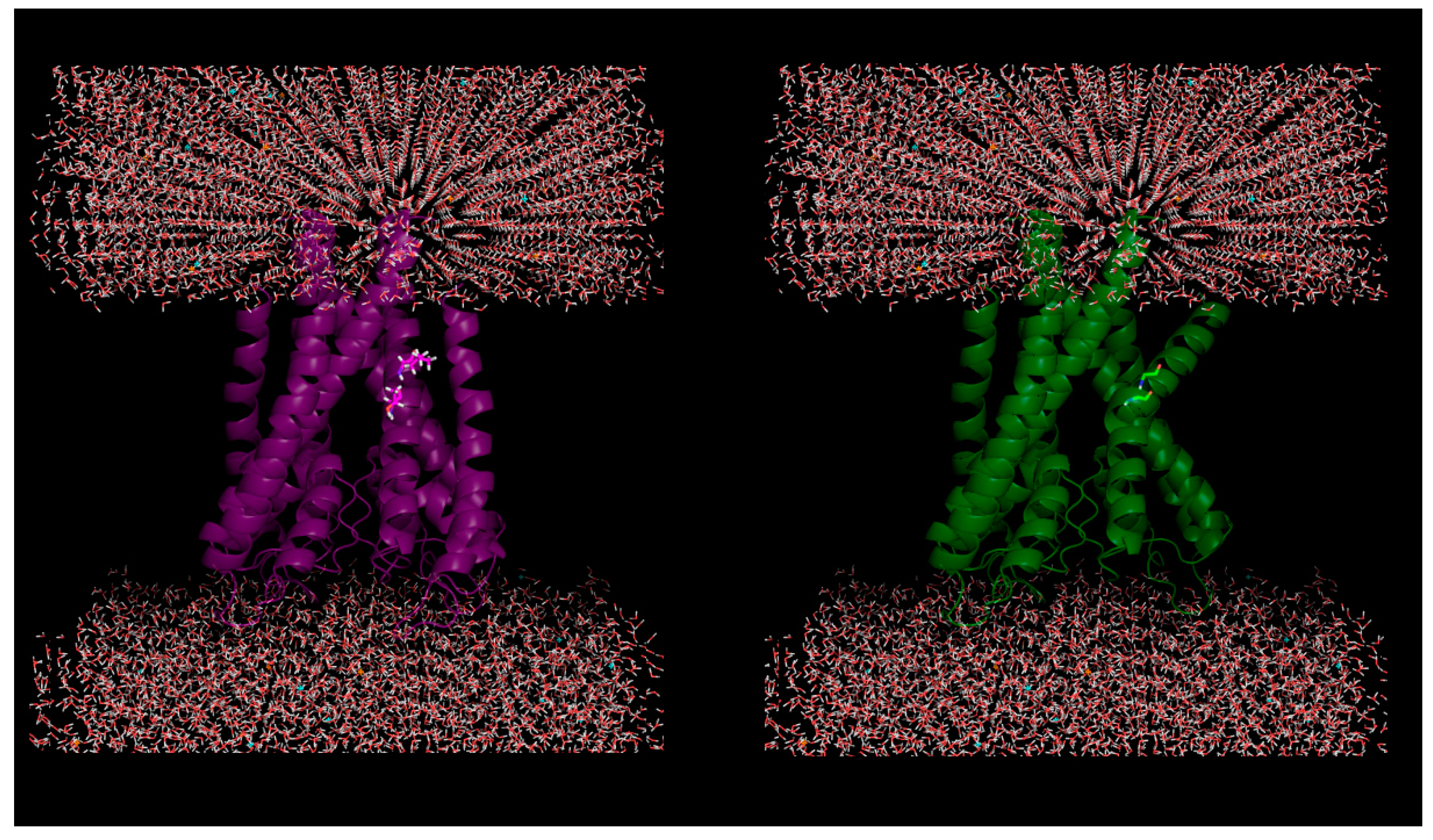 Ijms 20 00548 g001