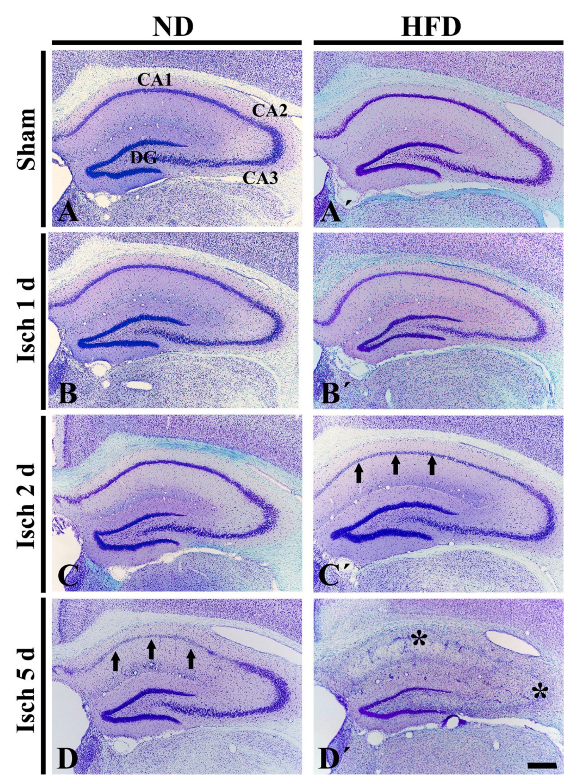 Ijms 20 00554 g001