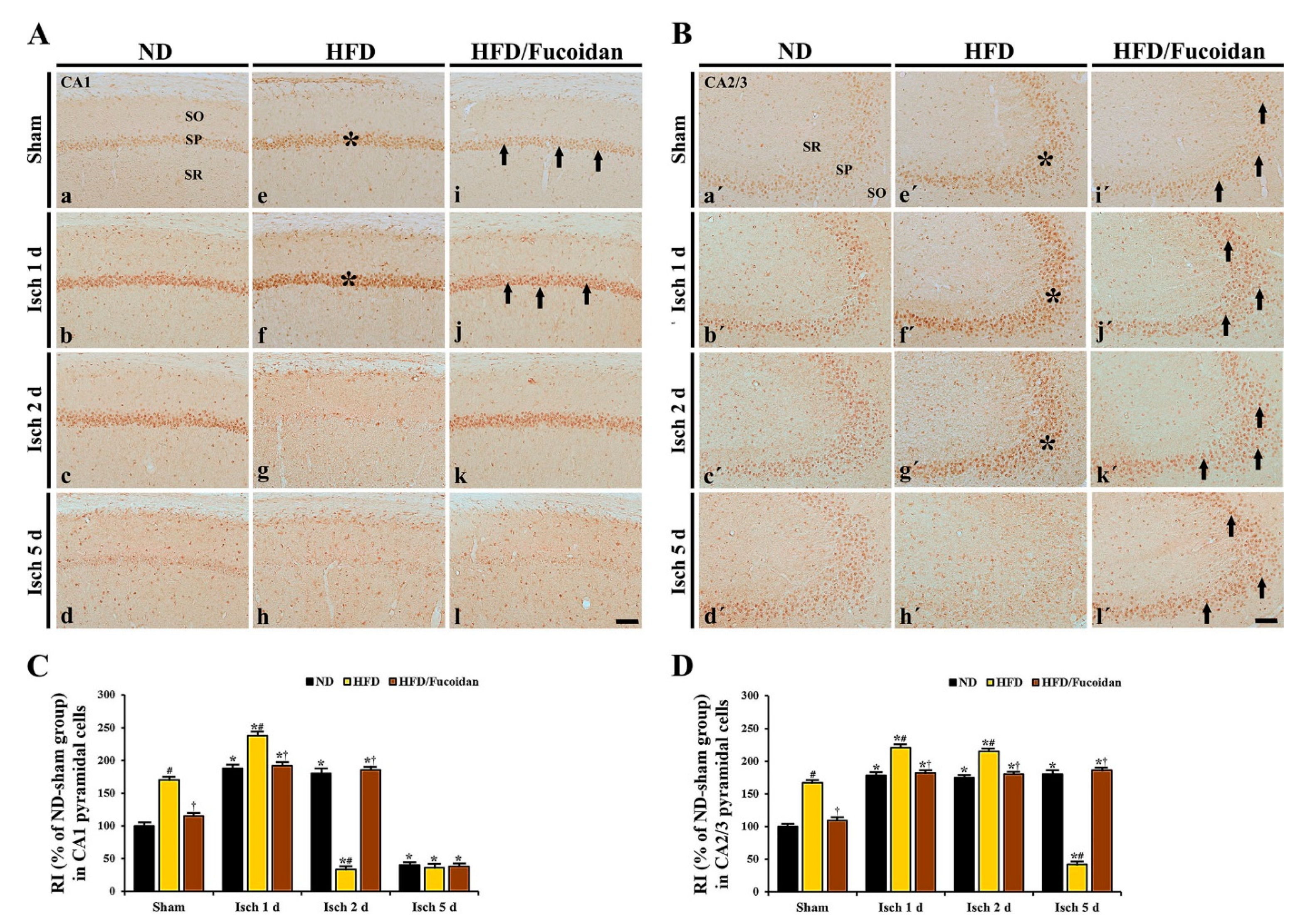 Ijms 20 00554 g005