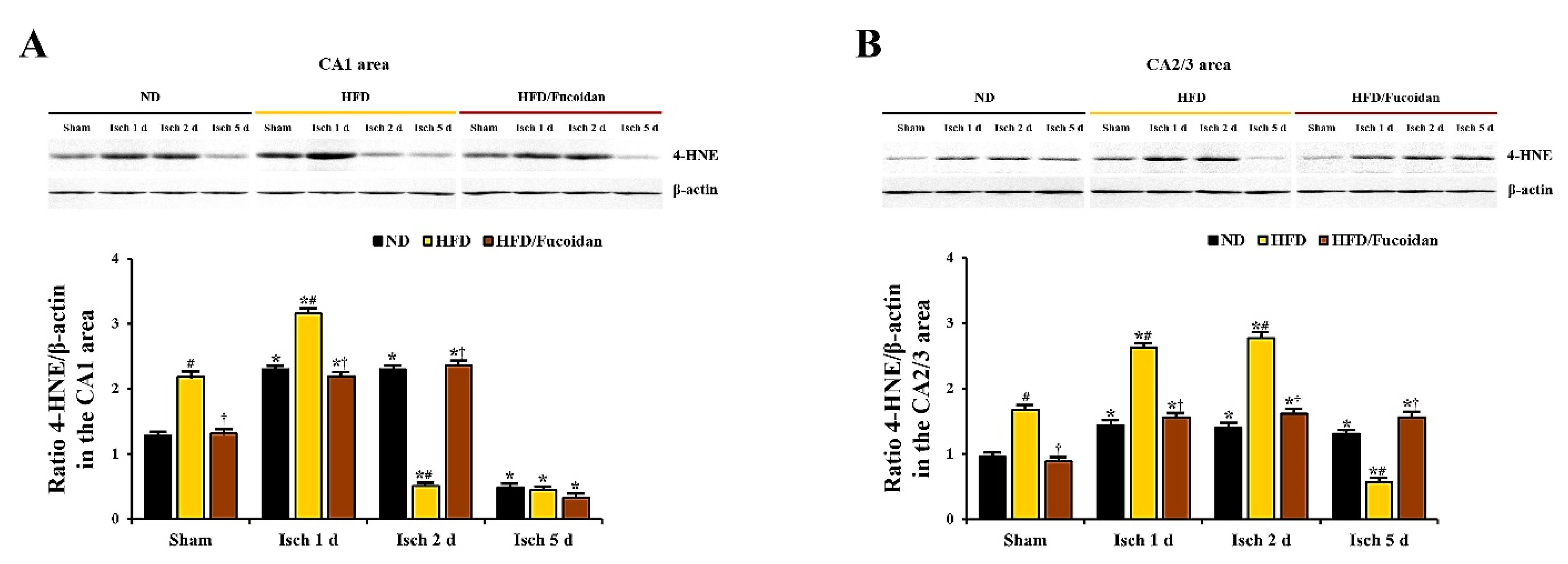 Ijms 20 00554 g007