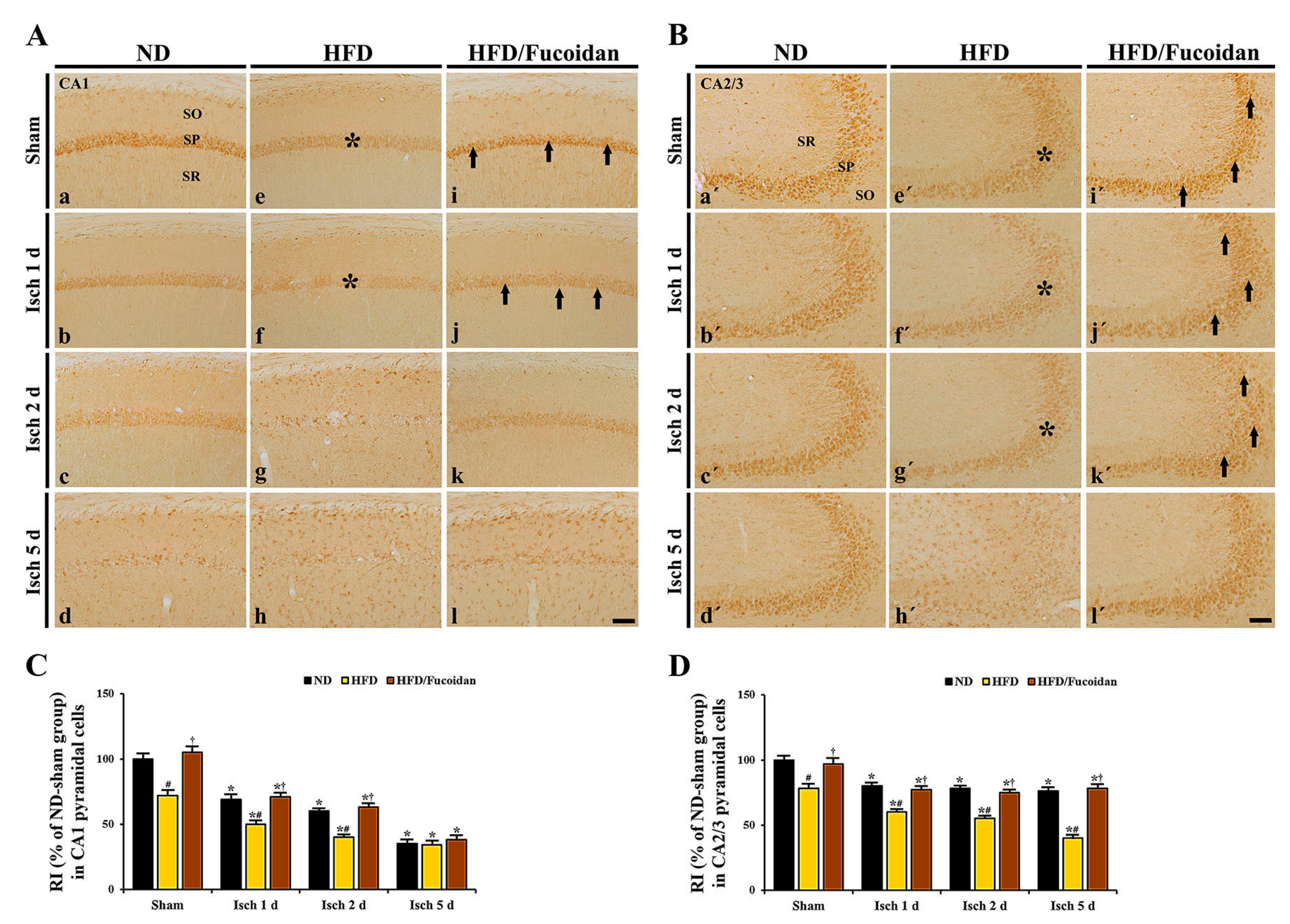 Ijms 20 00554 g008