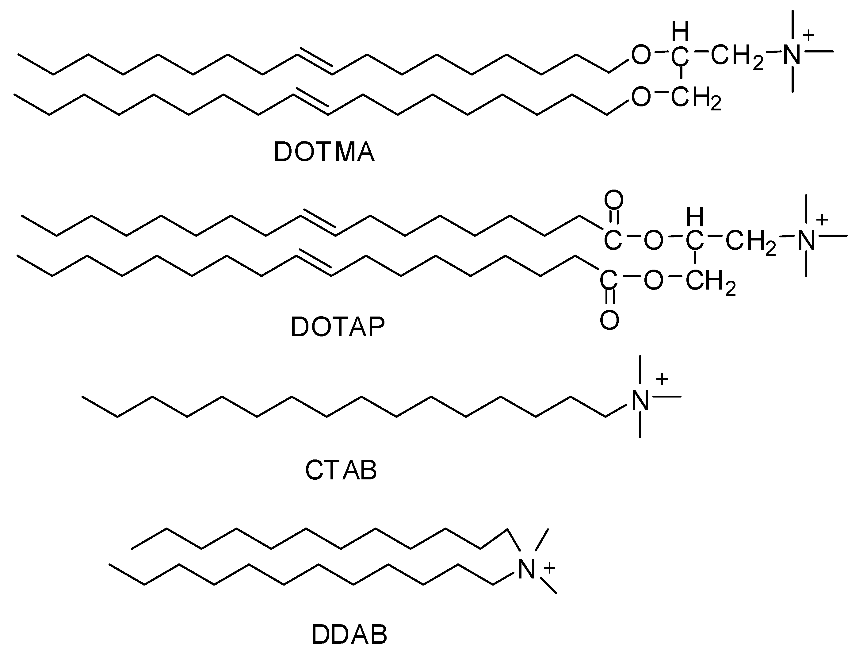 Ijms 20 00565 g001 Ijms 20 00565 g001