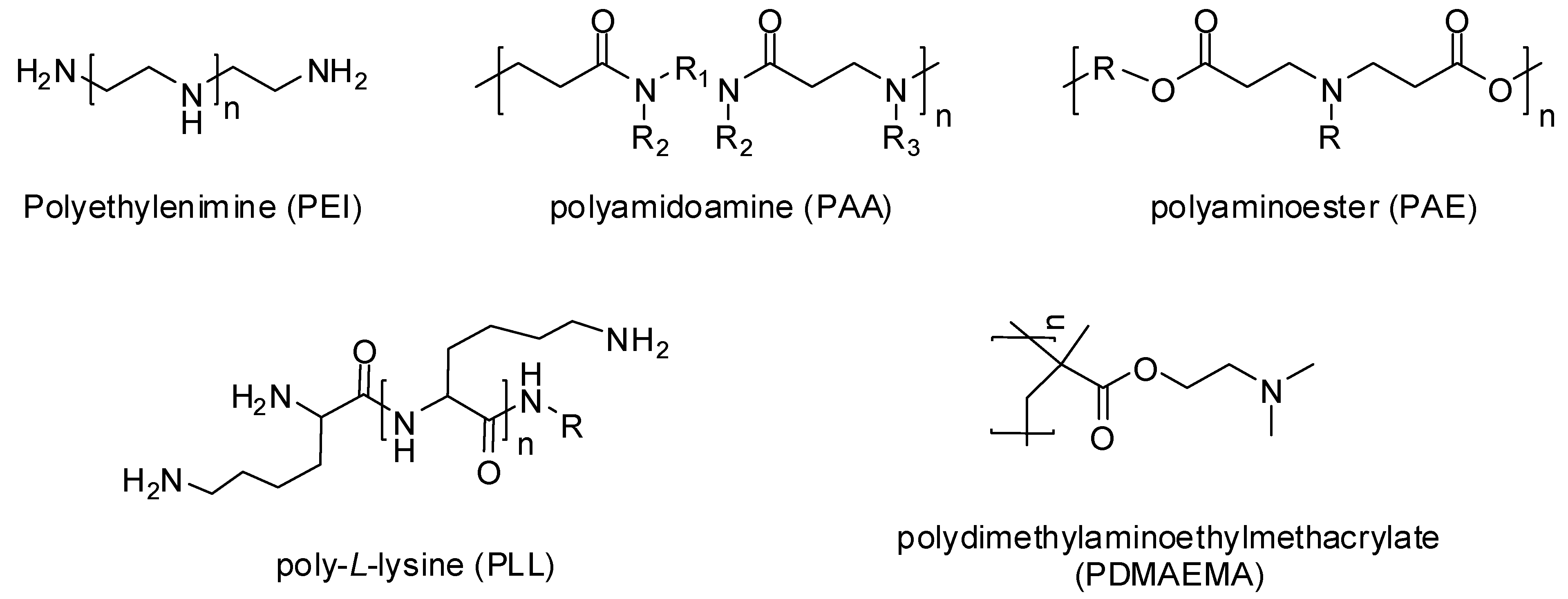 Ijms 20 00565 g002 Ijms 20 00565 g002