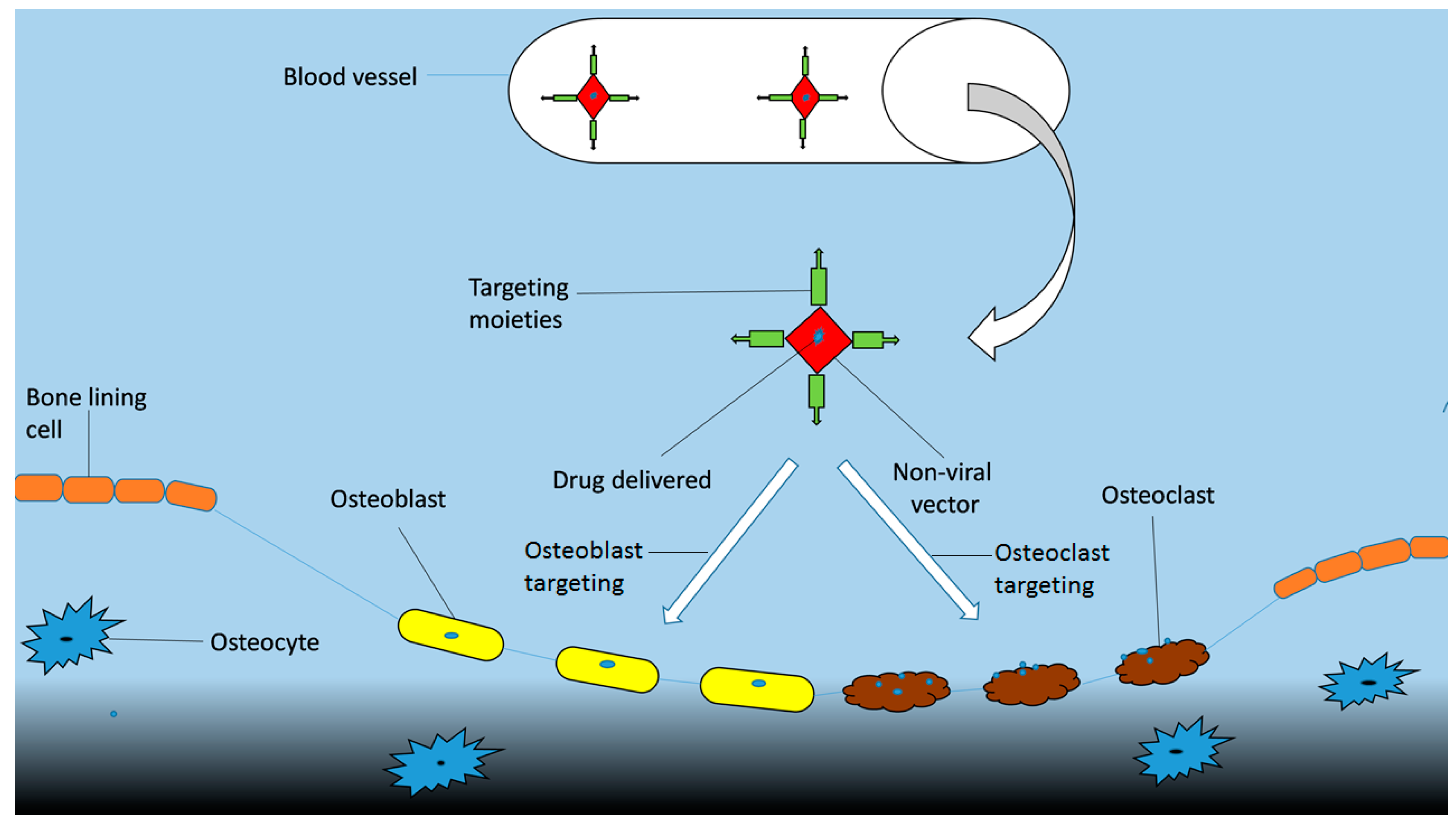 Ijms 20 00565 g005 Ijms 20 00565 g005
