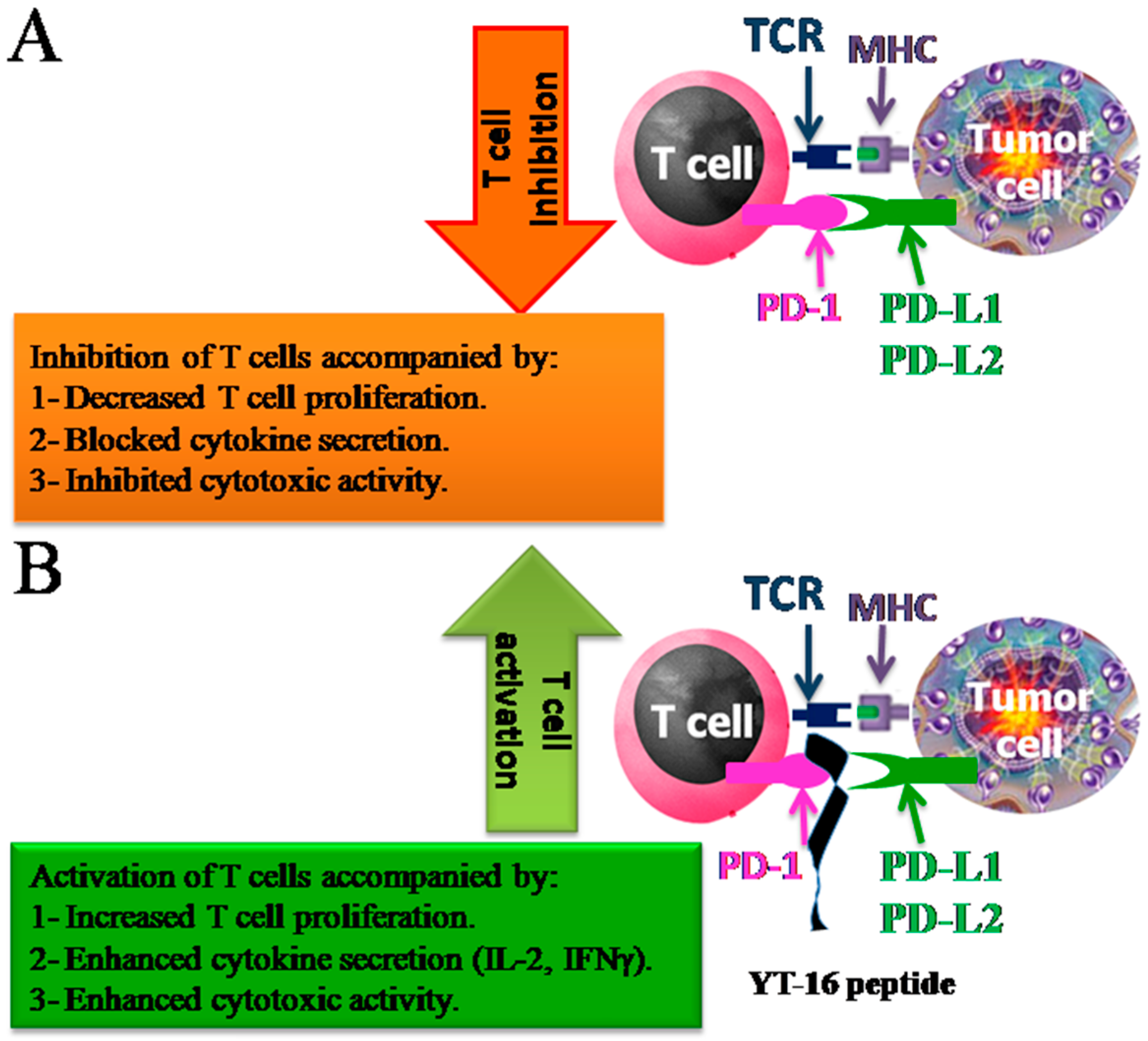 Ijms 20 00572 g001 Ijms 20 00572 g001