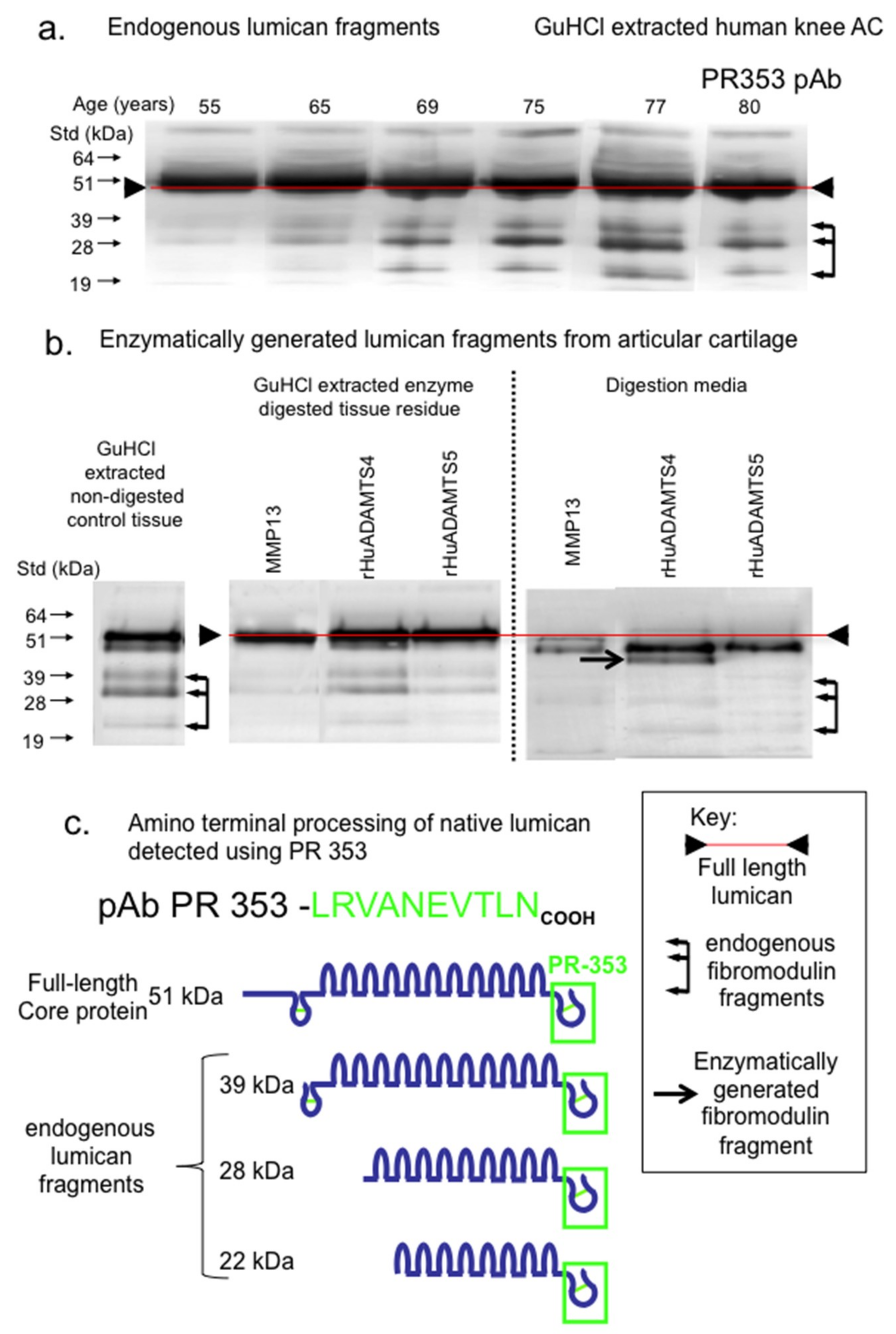 Ijms 20 00579 g004