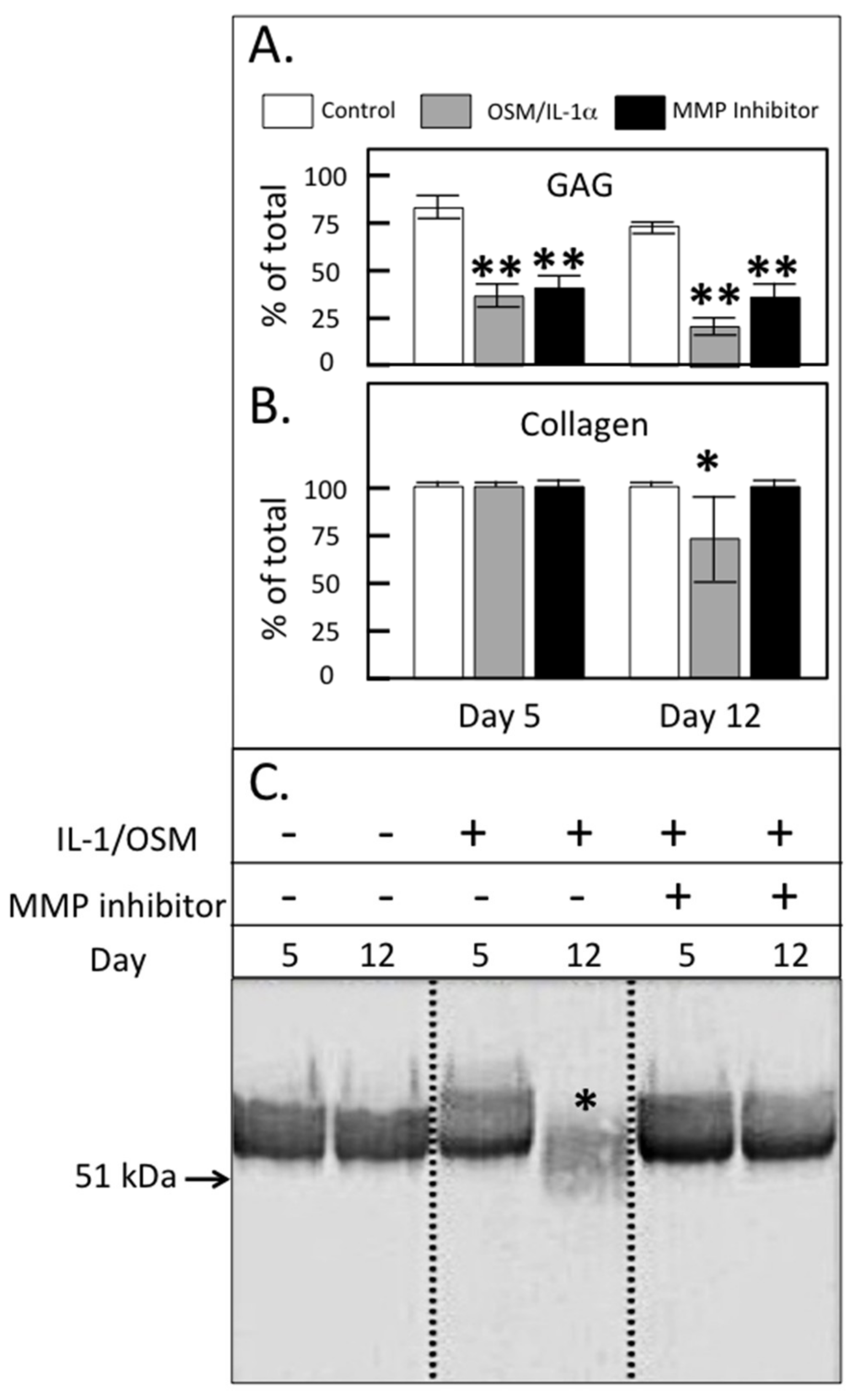 Ijms 20 00579 g006