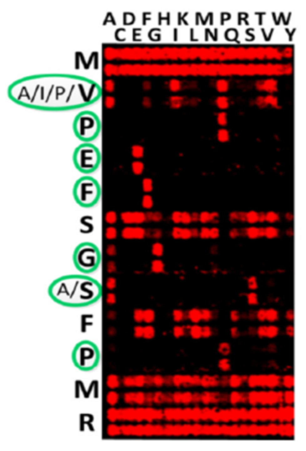 Ijms Free Full Text Serological Number For Characterization Of Circulating Antibodies Html