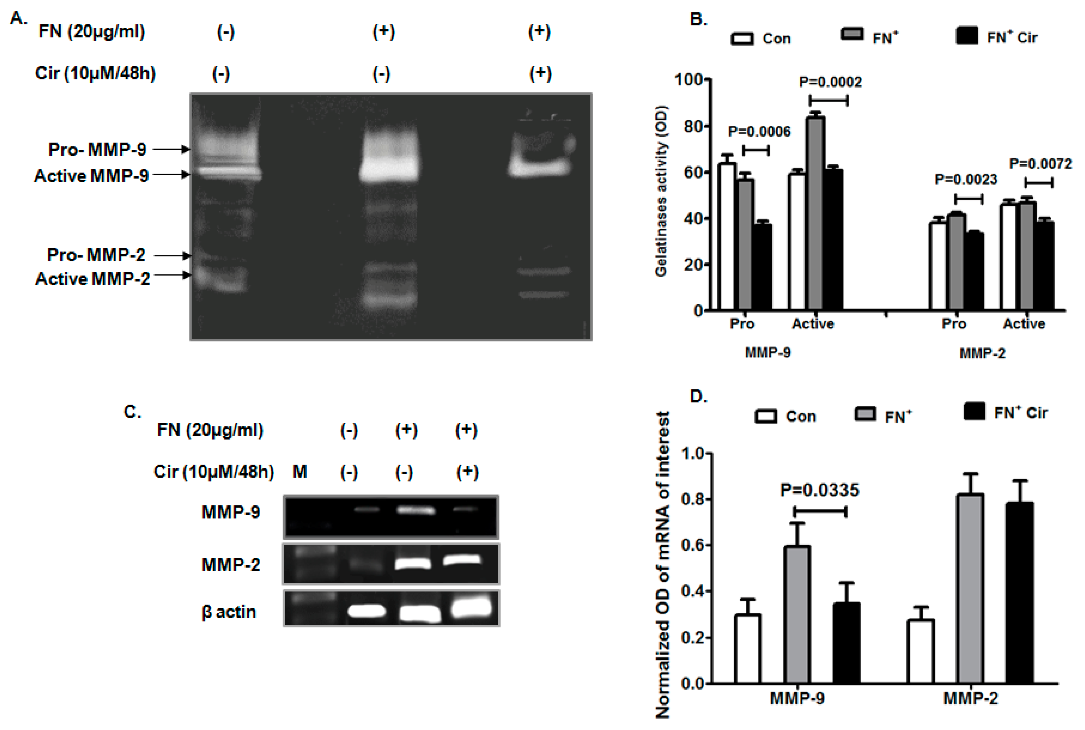 Ijms 20 00608 g003