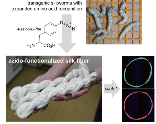 IJMS | Special Issue : Expanding and Reprogramming the Genetic Code