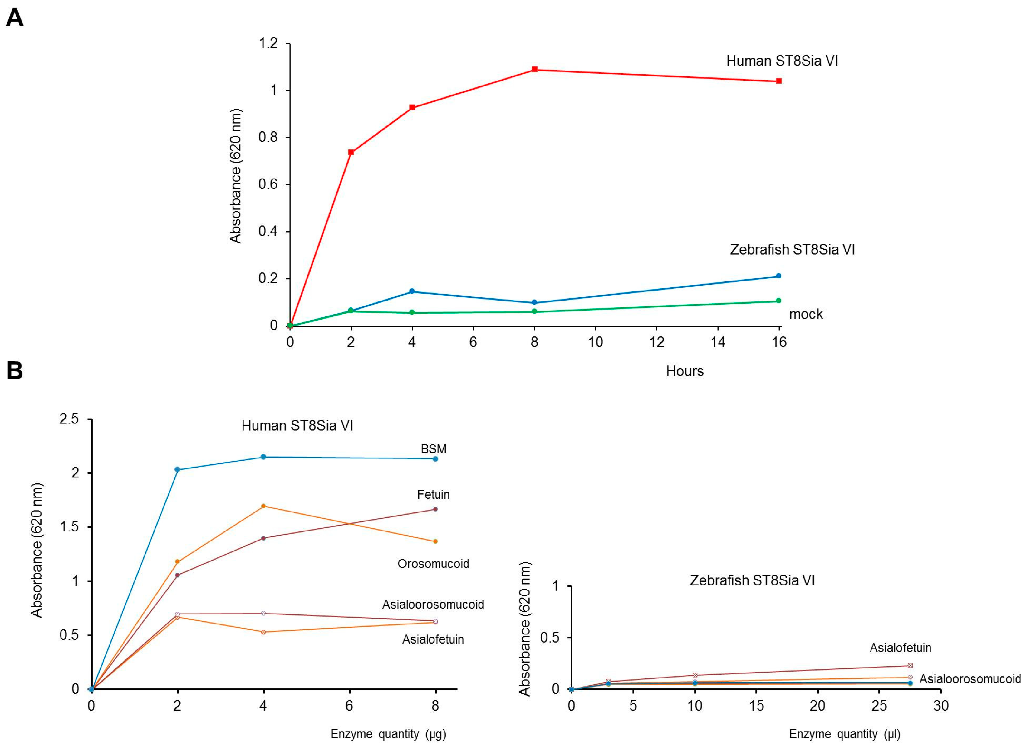 Ijms 20 00622 g004 Ijms 20 00622 g004