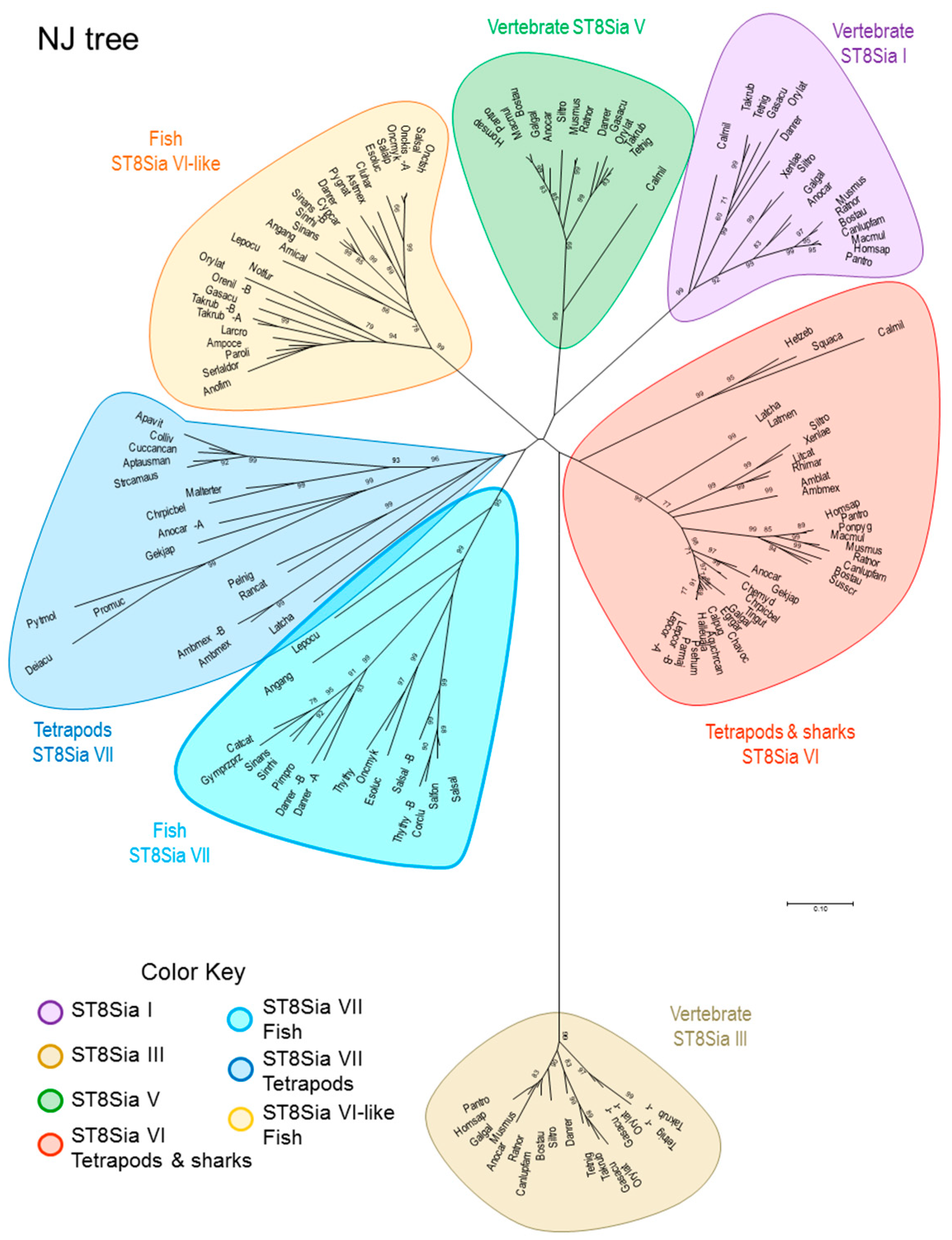 Ijms 20 00622 g005 Ijms 20 00622 g005