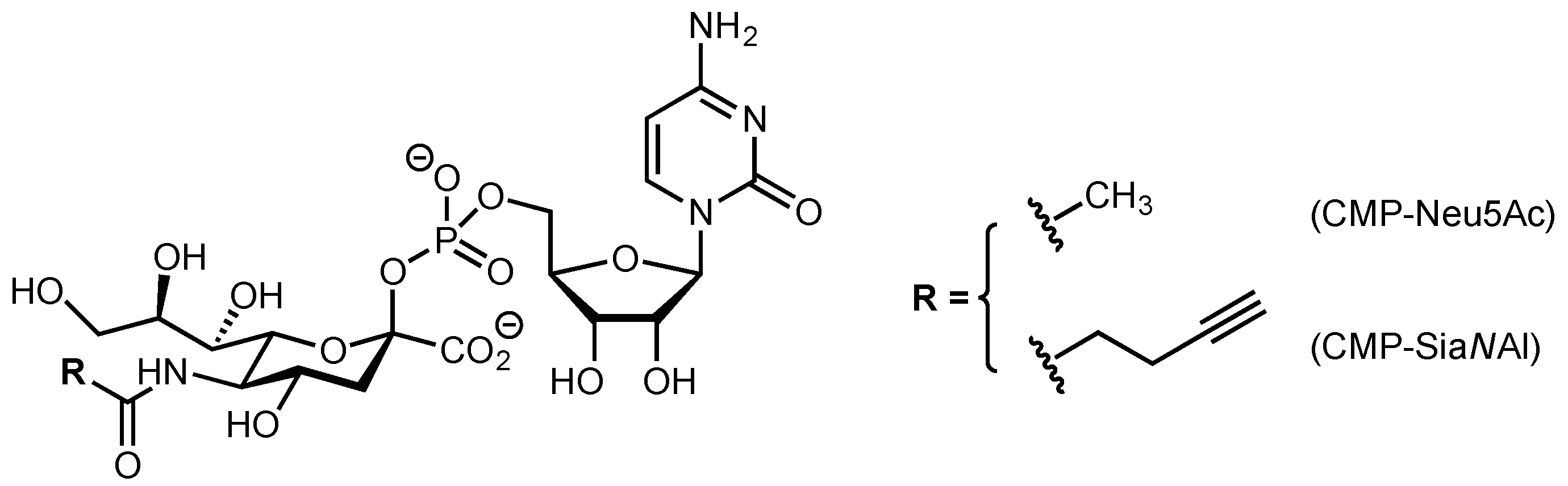 Ijms 20 00622 i001 Ijms 20 00622 i001