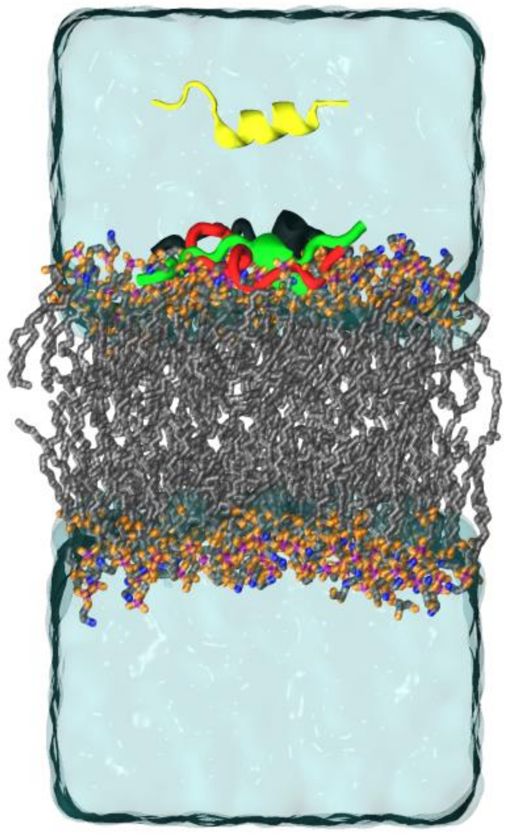 Ijms 20 00623 g002 Ijms 20 00623 g002