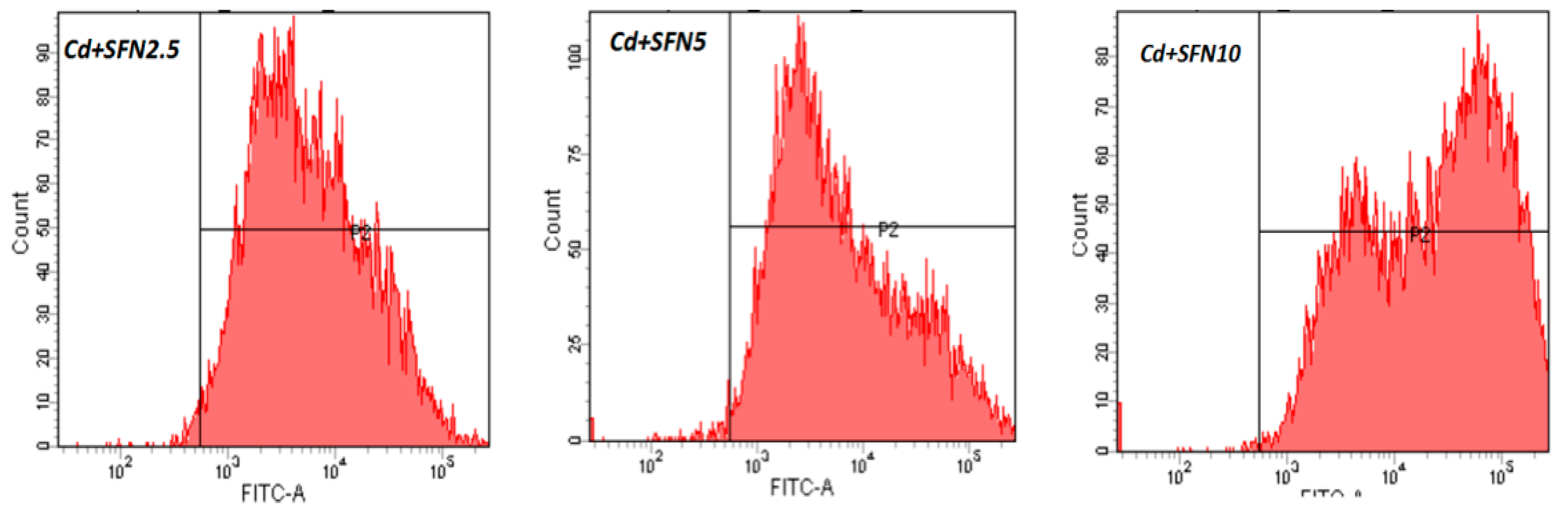 Ijms 20 00630 g008b 550