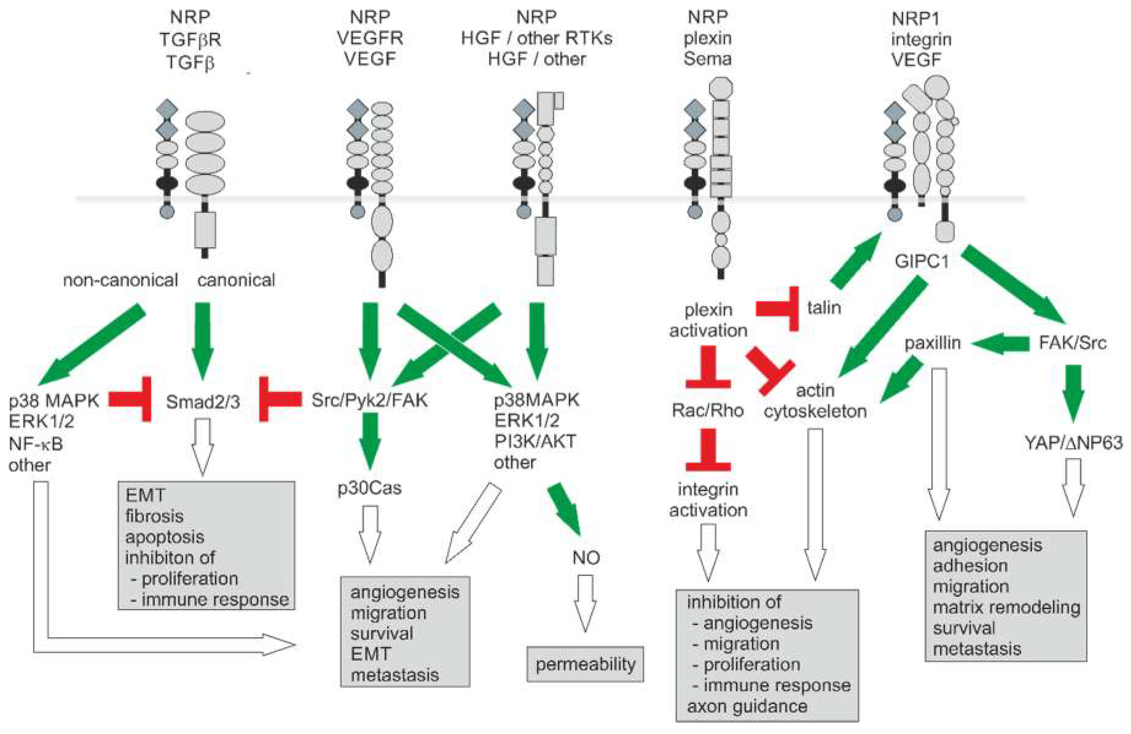 Ijms 20 00639 g003 Ijms 20 00639 g003