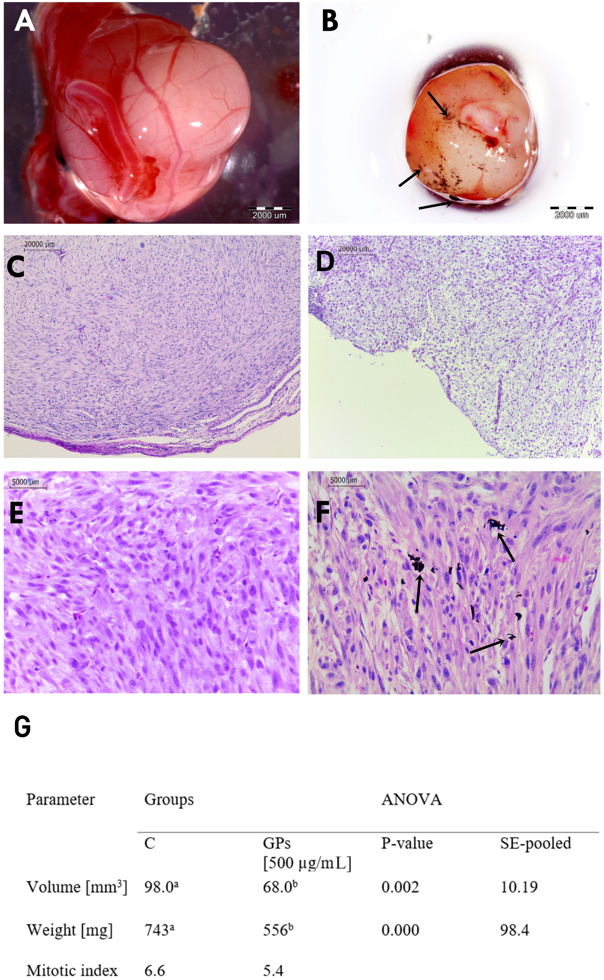 Ijms 20 00650 g006