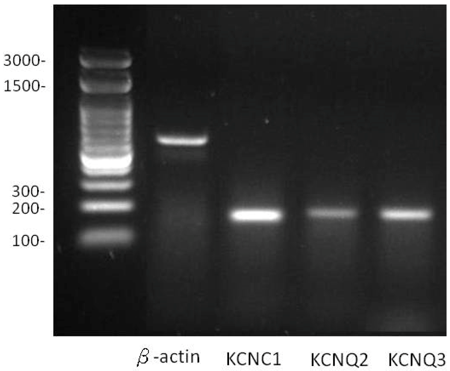 Ijms 20 00657 g001 Ijms 20 00657 g001