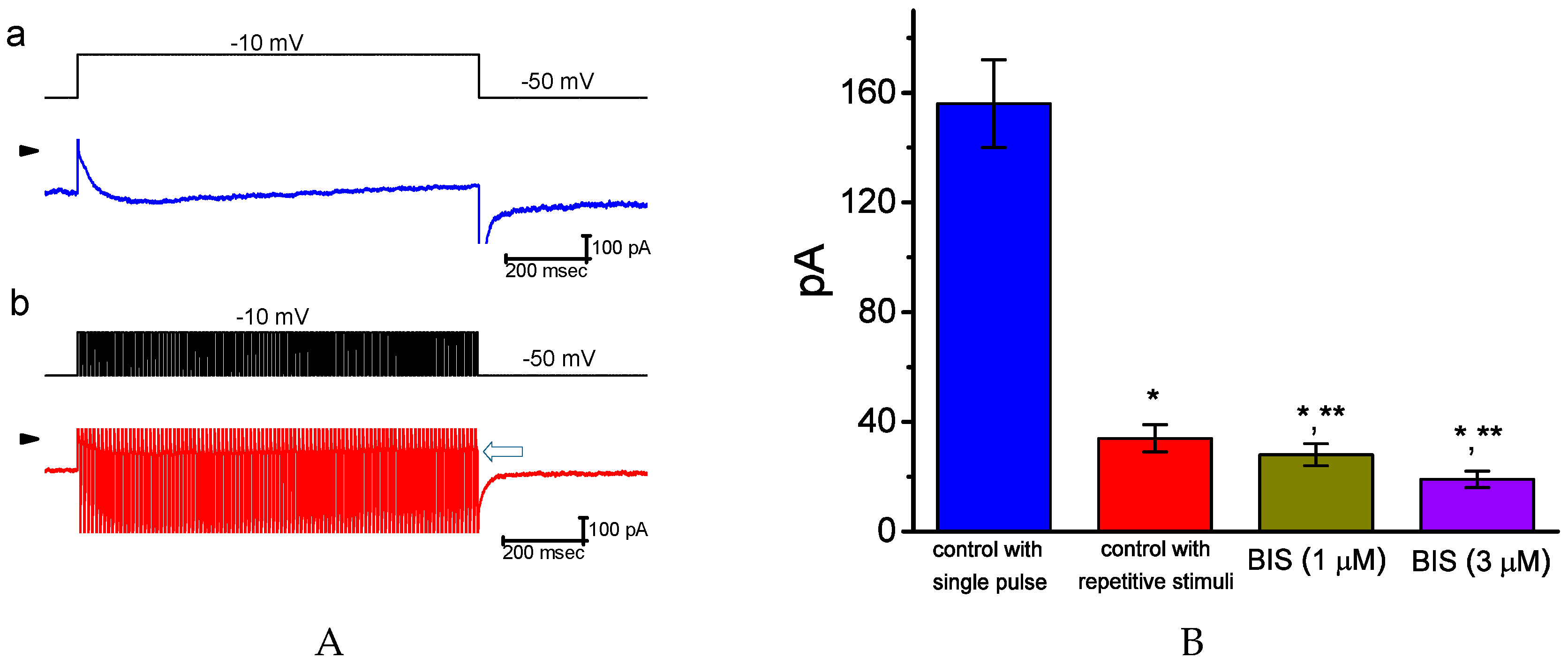 Ijms 20 00657 g003 Ijms 20 00657 g003