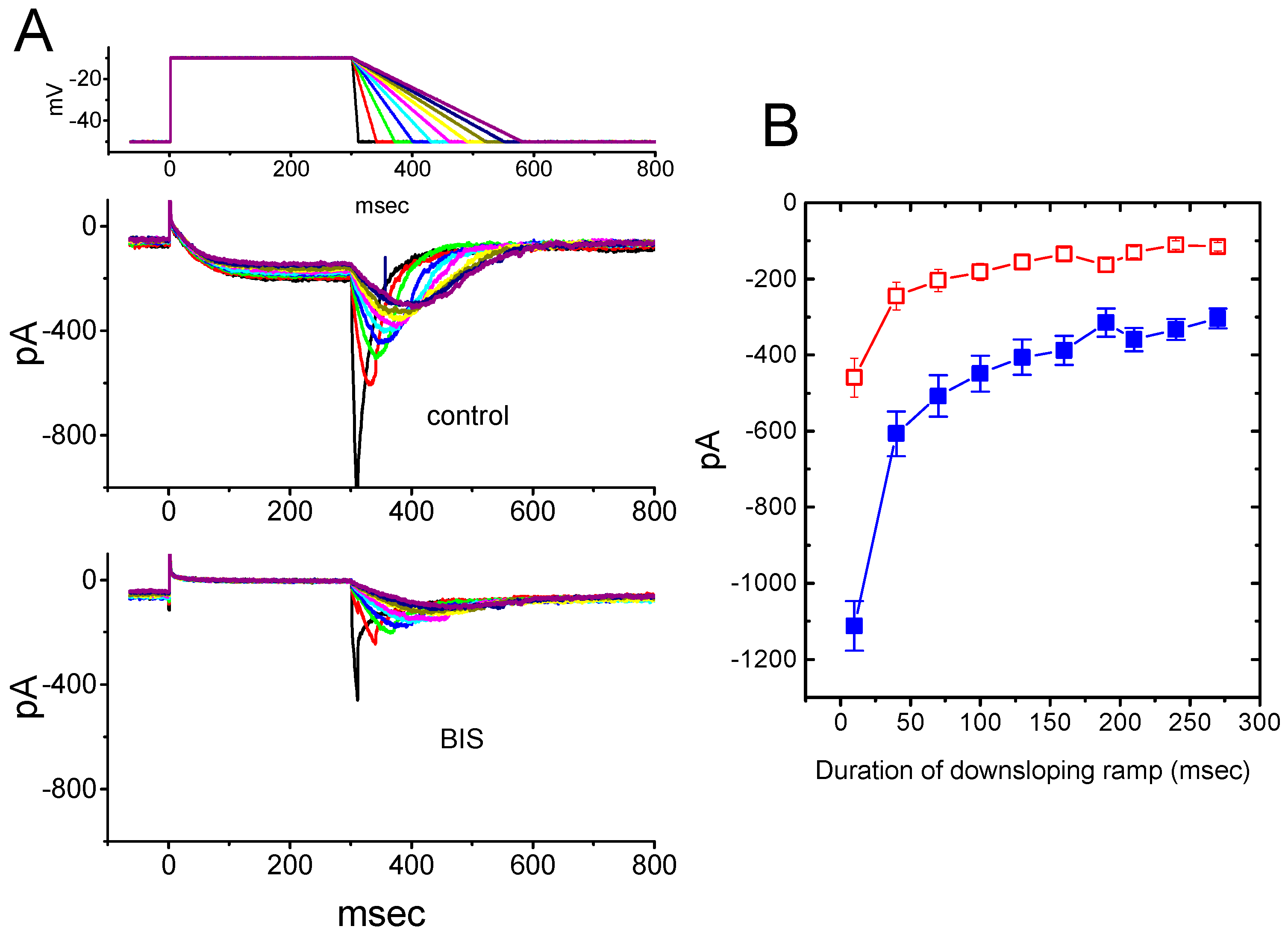 Ijms 20 00657 g004 Ijms 20 00657 g004