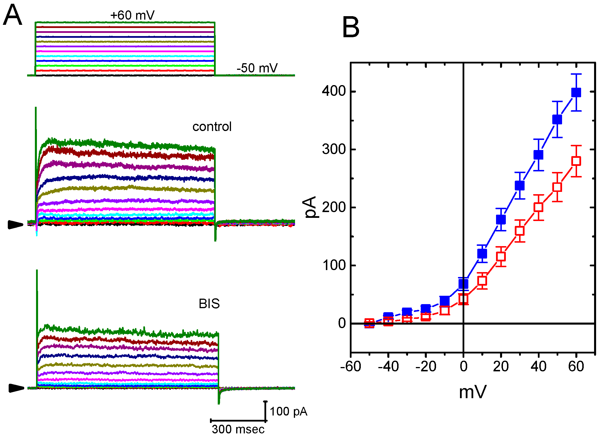 Ijms 20 00657 g009 Ijms 20 00657 g009