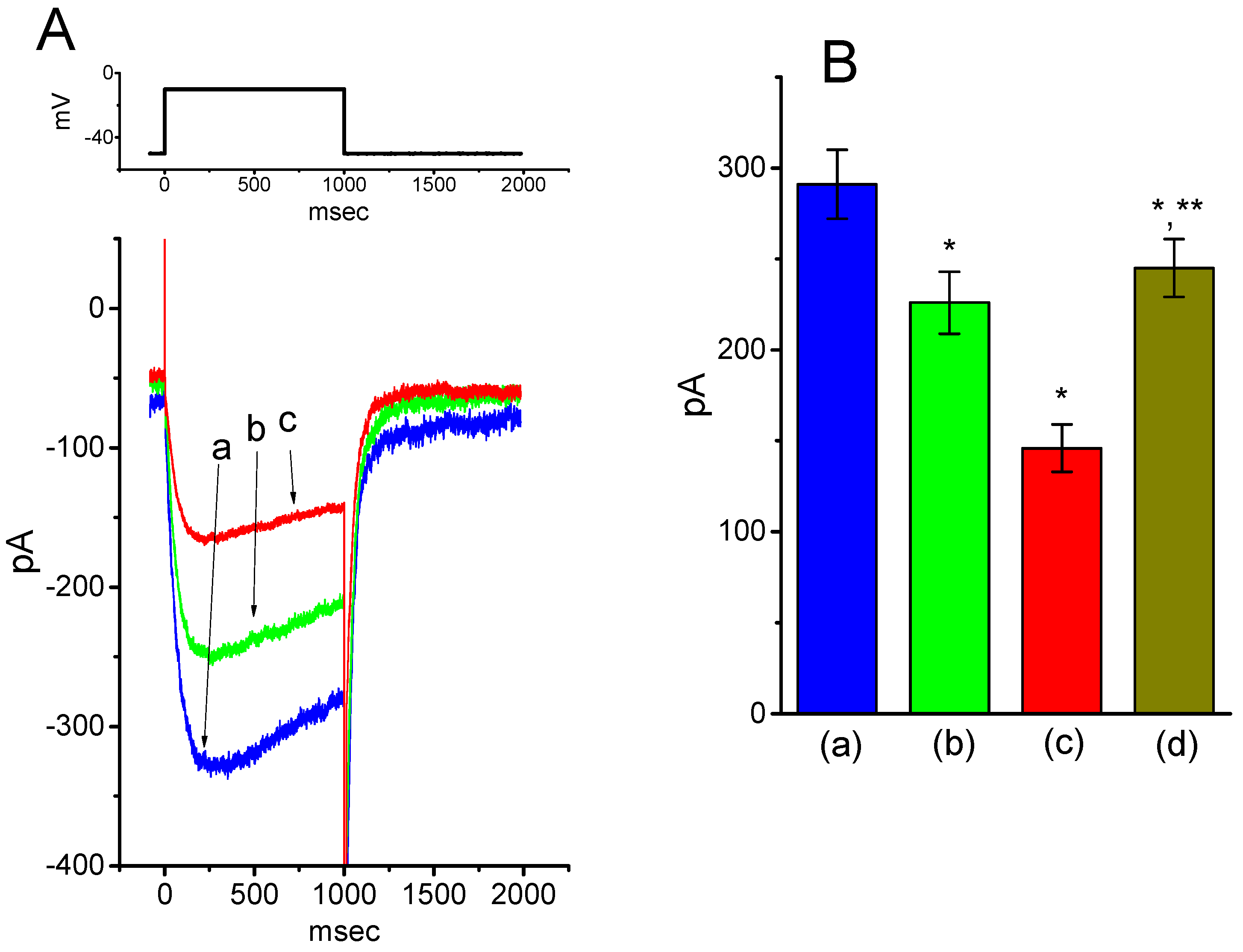 Ijms 20 00657 g011 Ijms 20 00657 g011