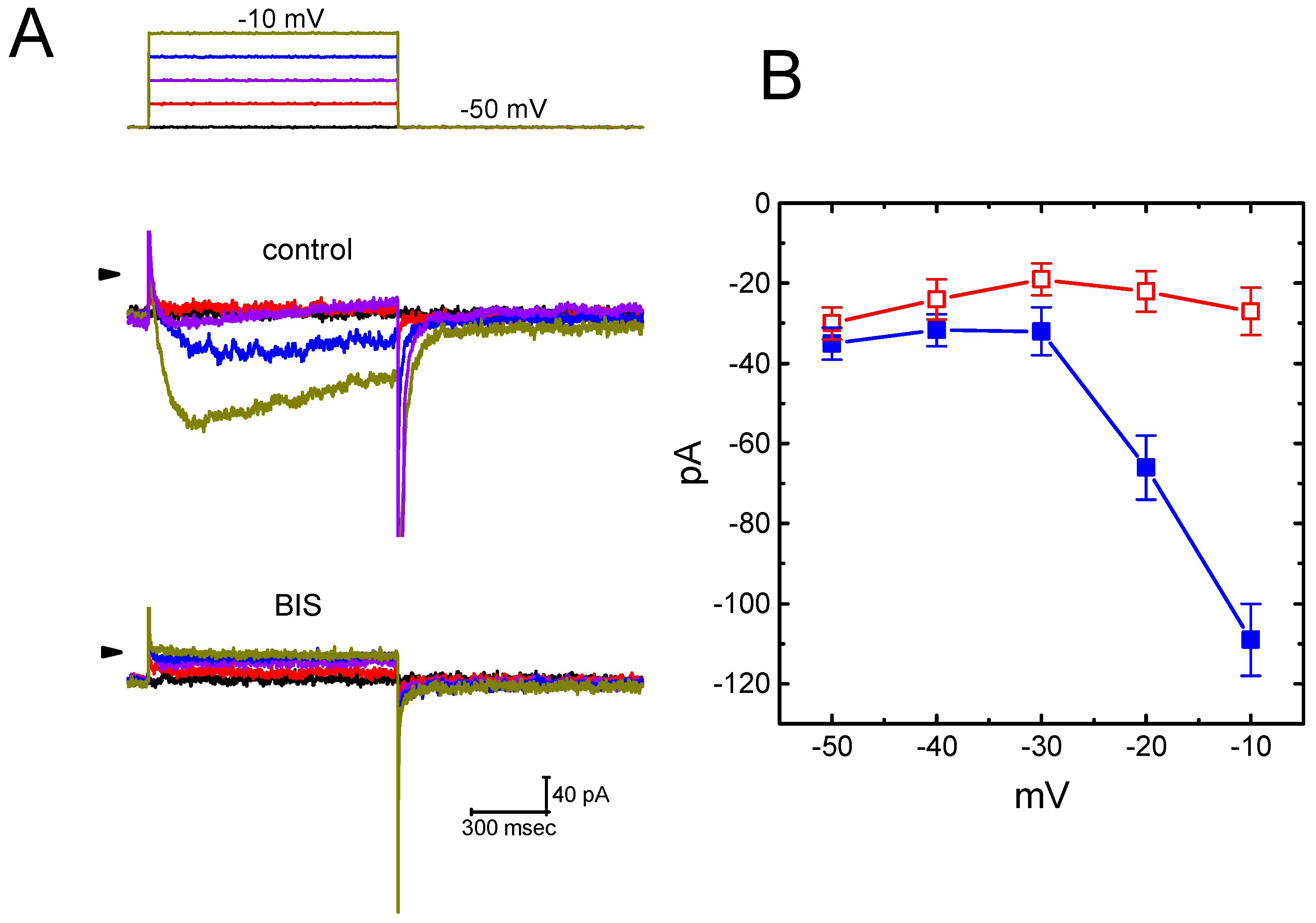 Ijms 20 00657 g012 Ijms 20 00657 g012