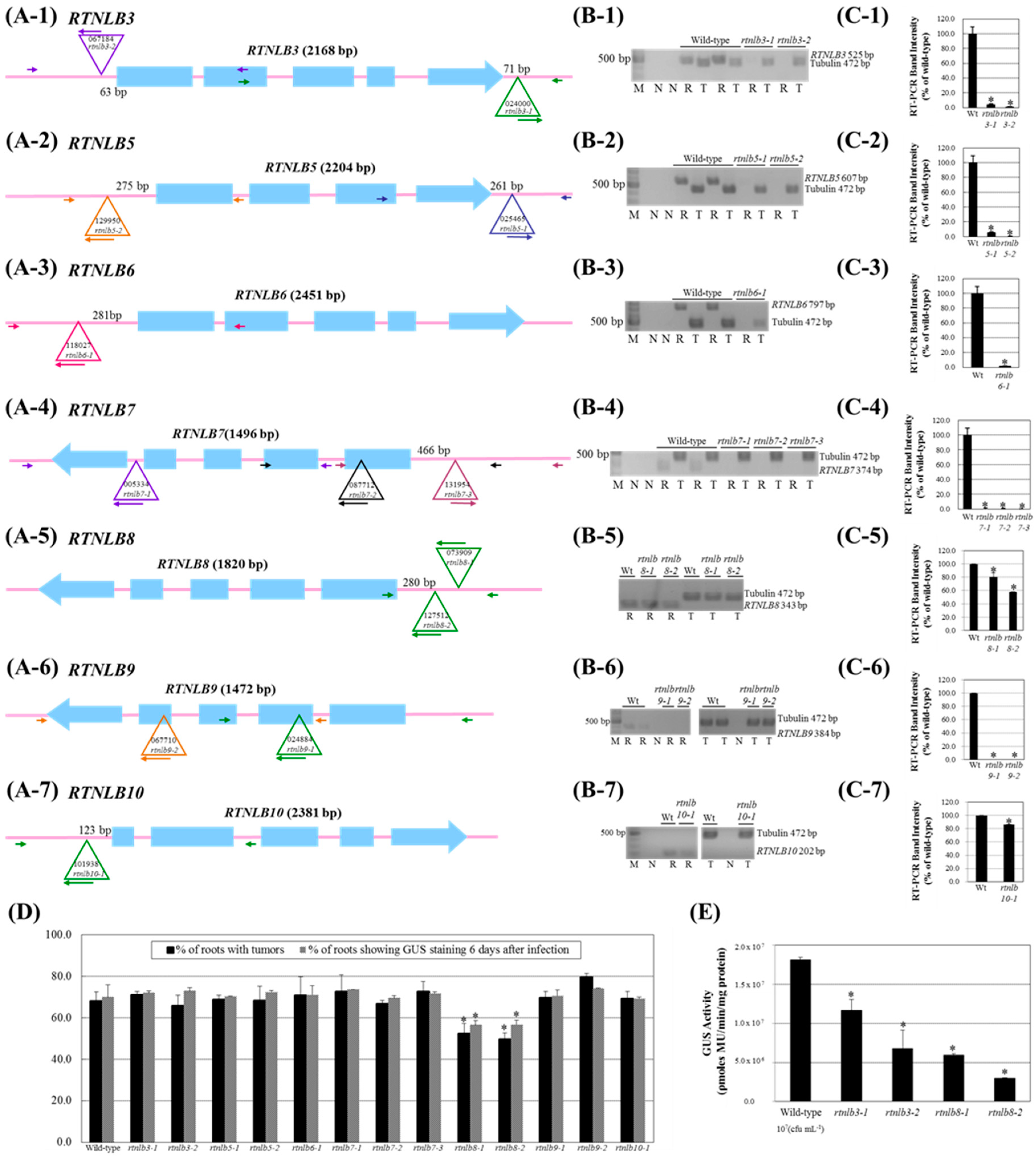Ijms 20 00664 g001 550