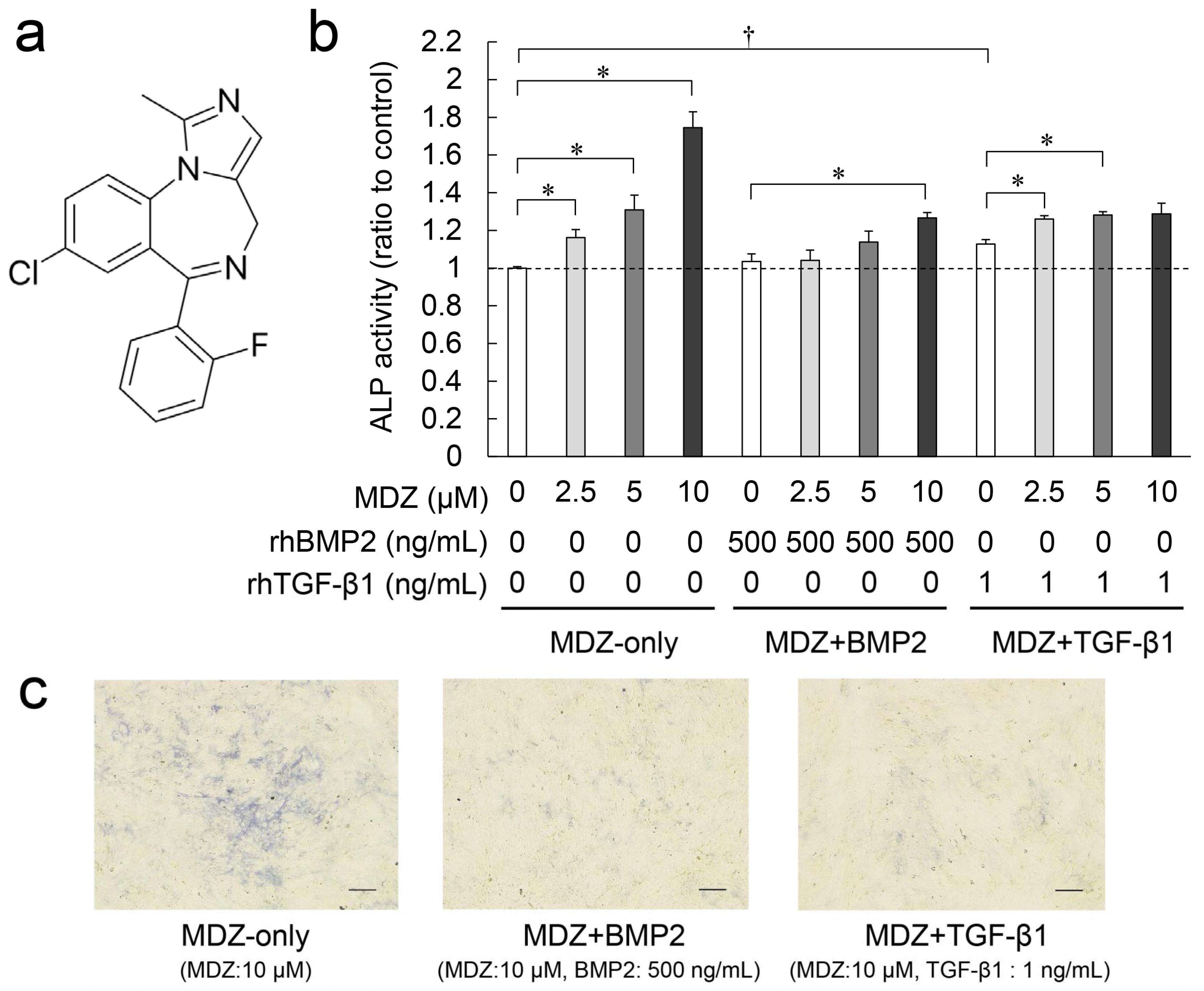 Ijms 20 00670 g001 550