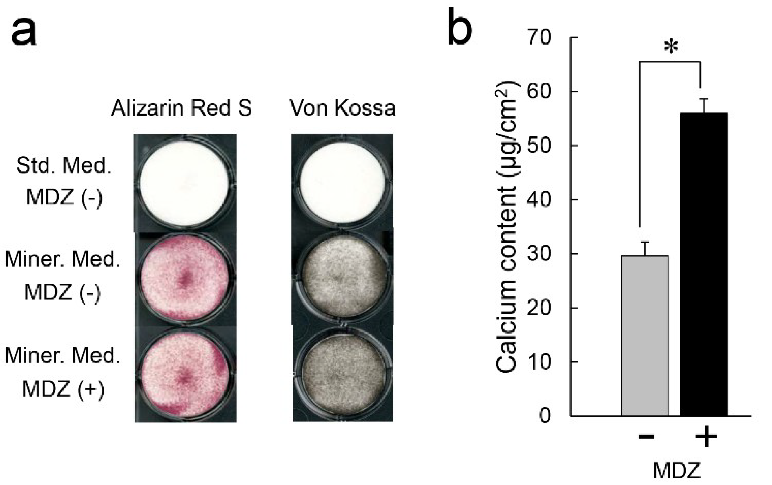 Ijms 20 00670 g003 550