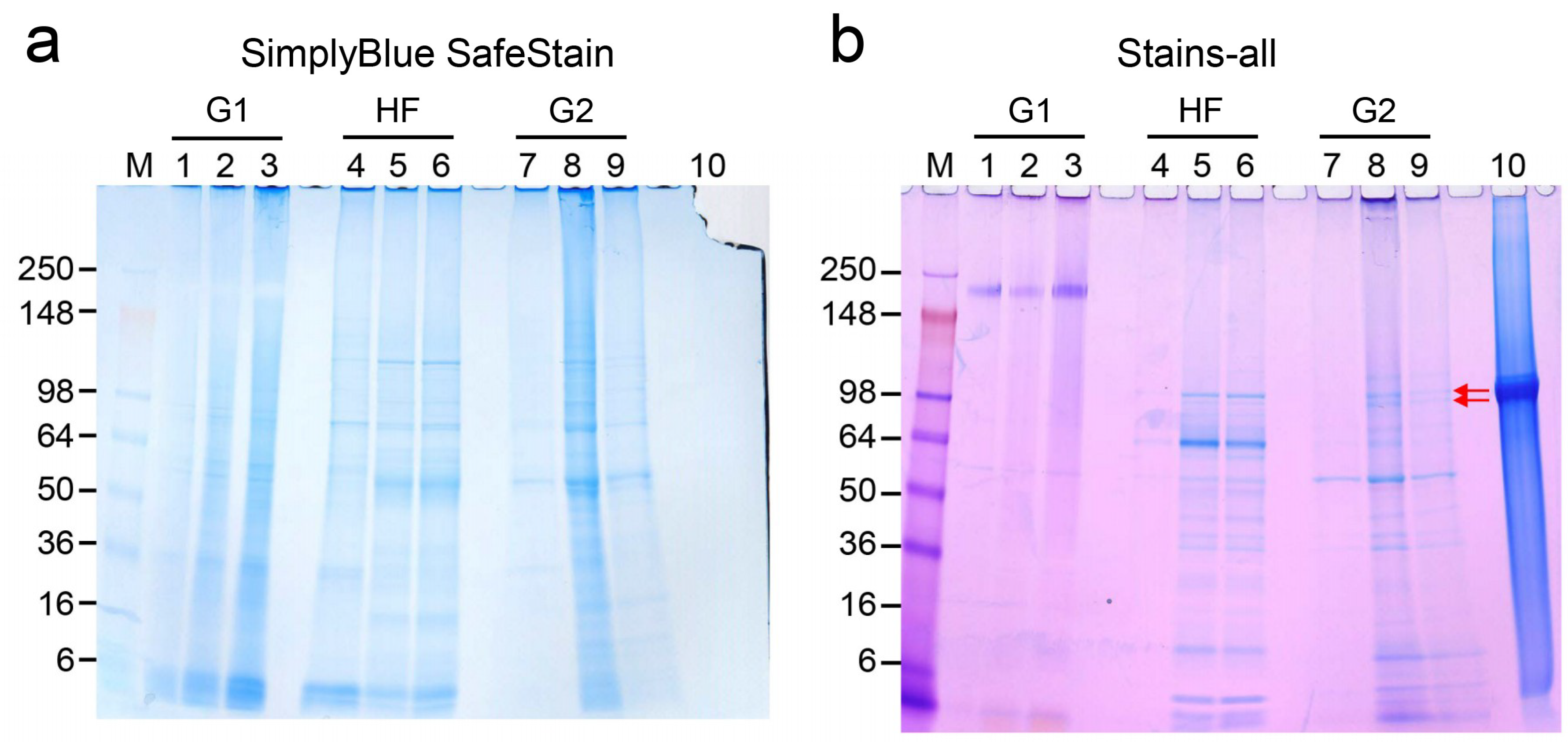 Ijms 20 00670 g004 550
