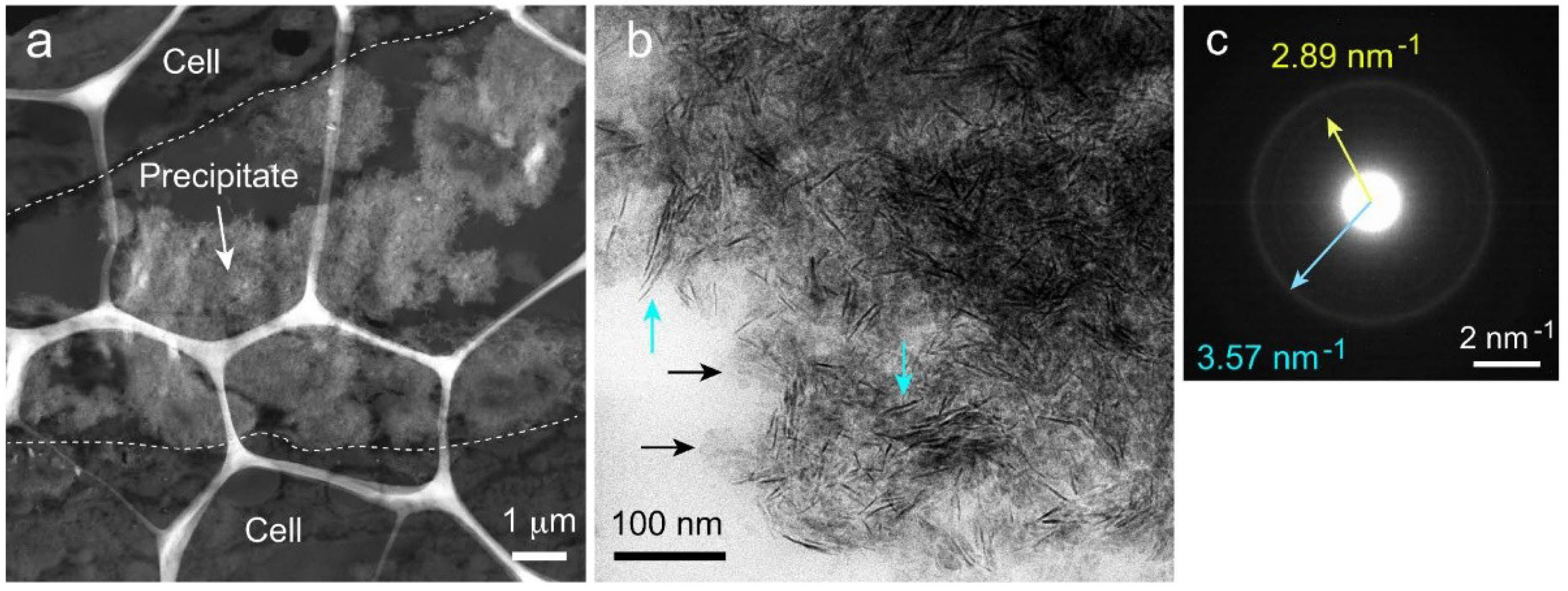 Ijms 20 00670 g007 550