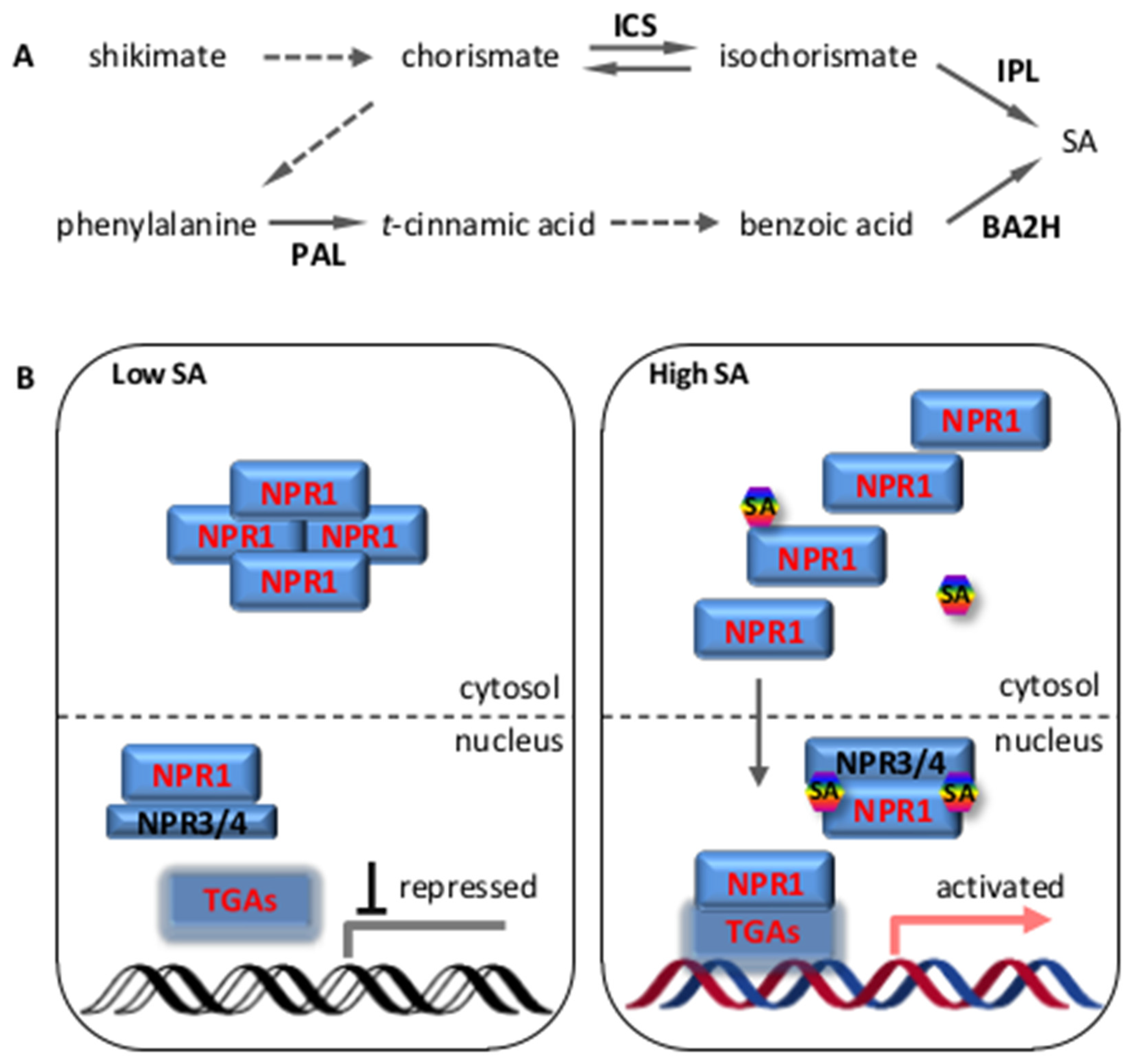 Ijms 20 00671 g001 550