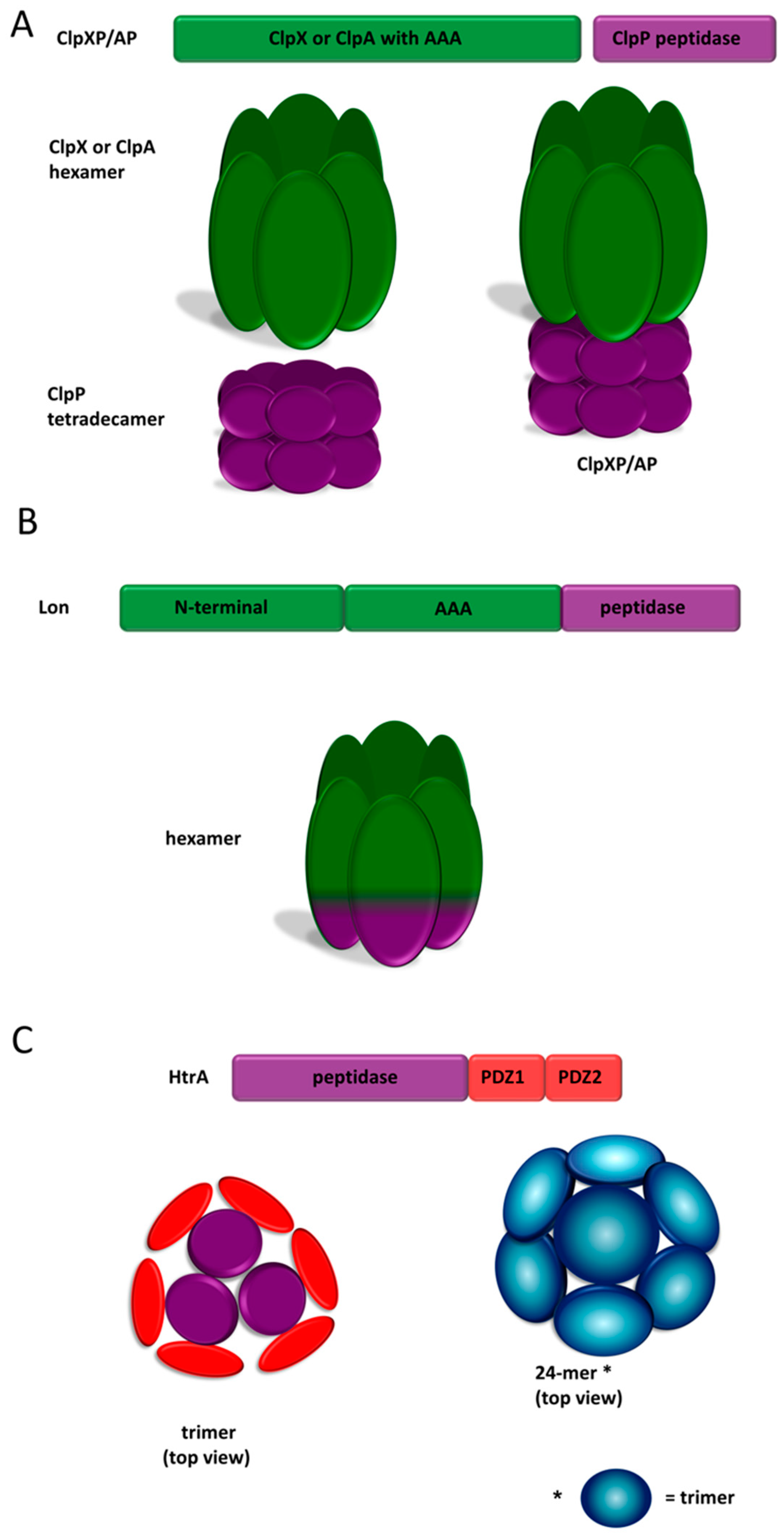 Ijms 20 00672 g001 550